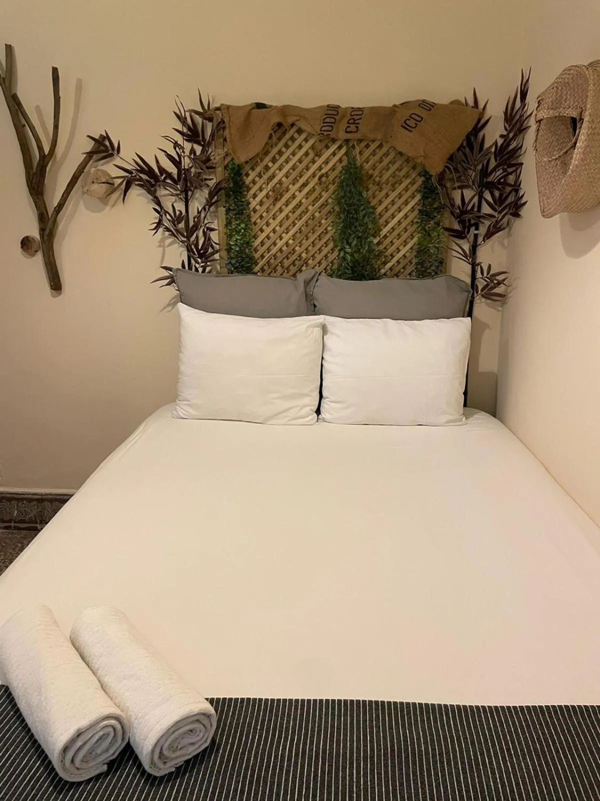 Bed in Cactus Host