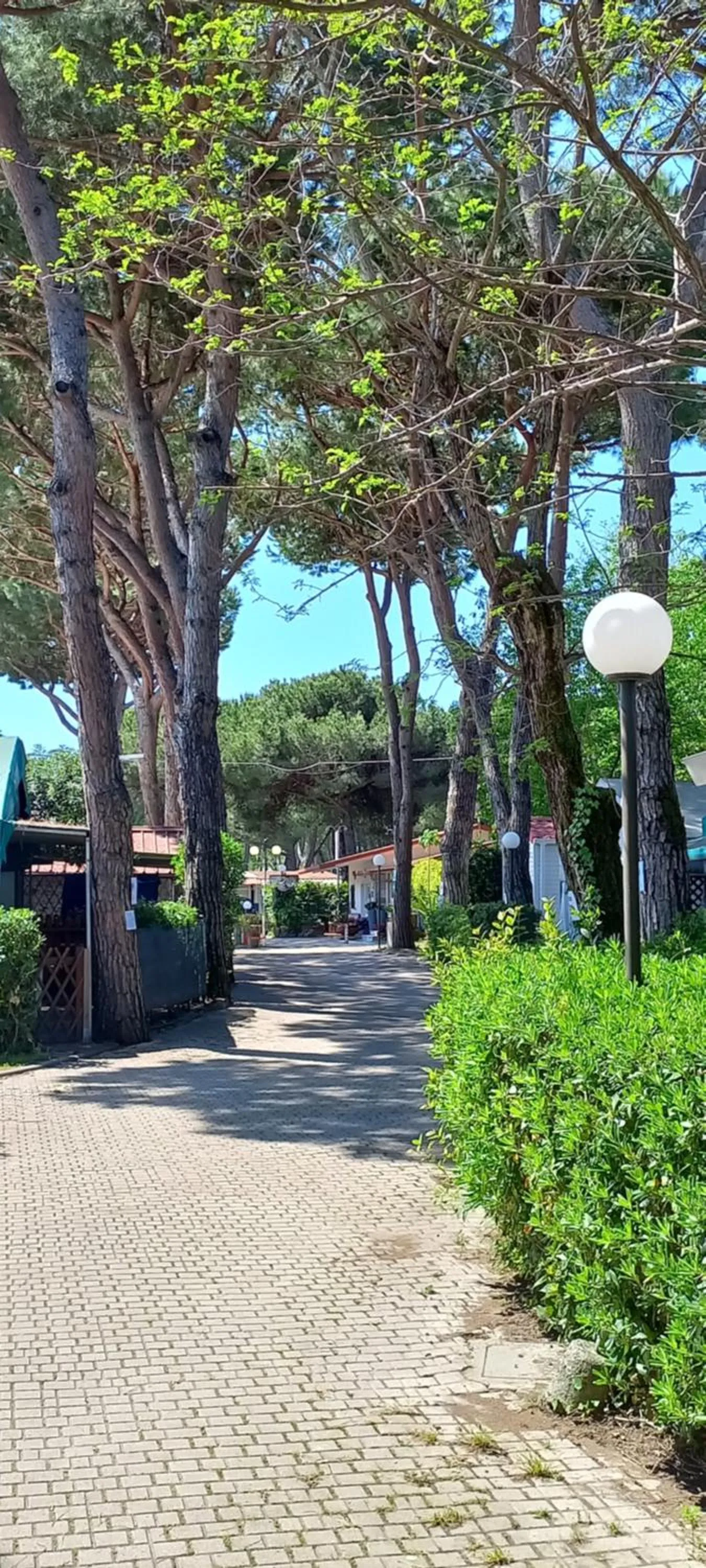Inner courtyard view in Camping Linus