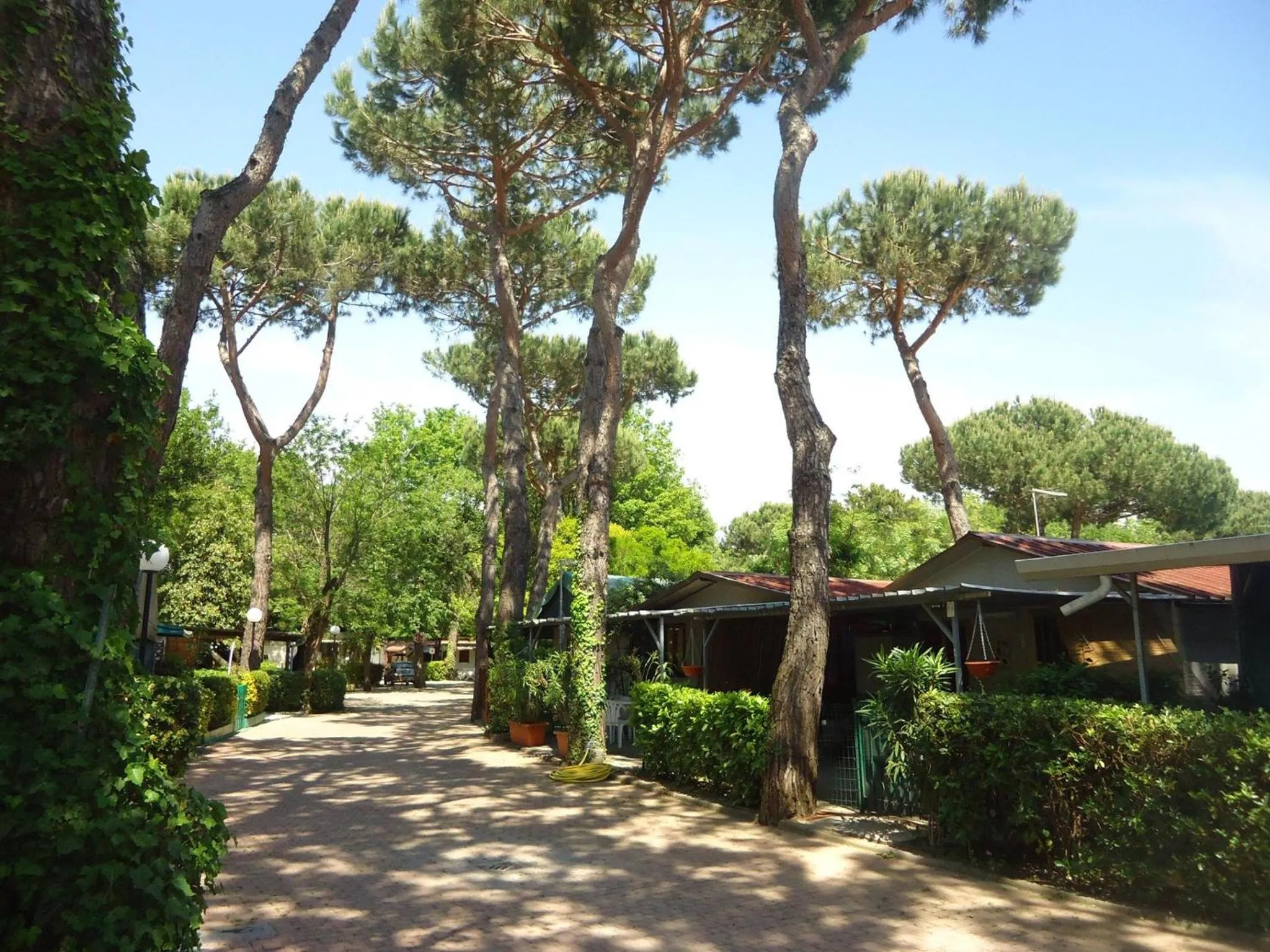 Property building in Camping Linus