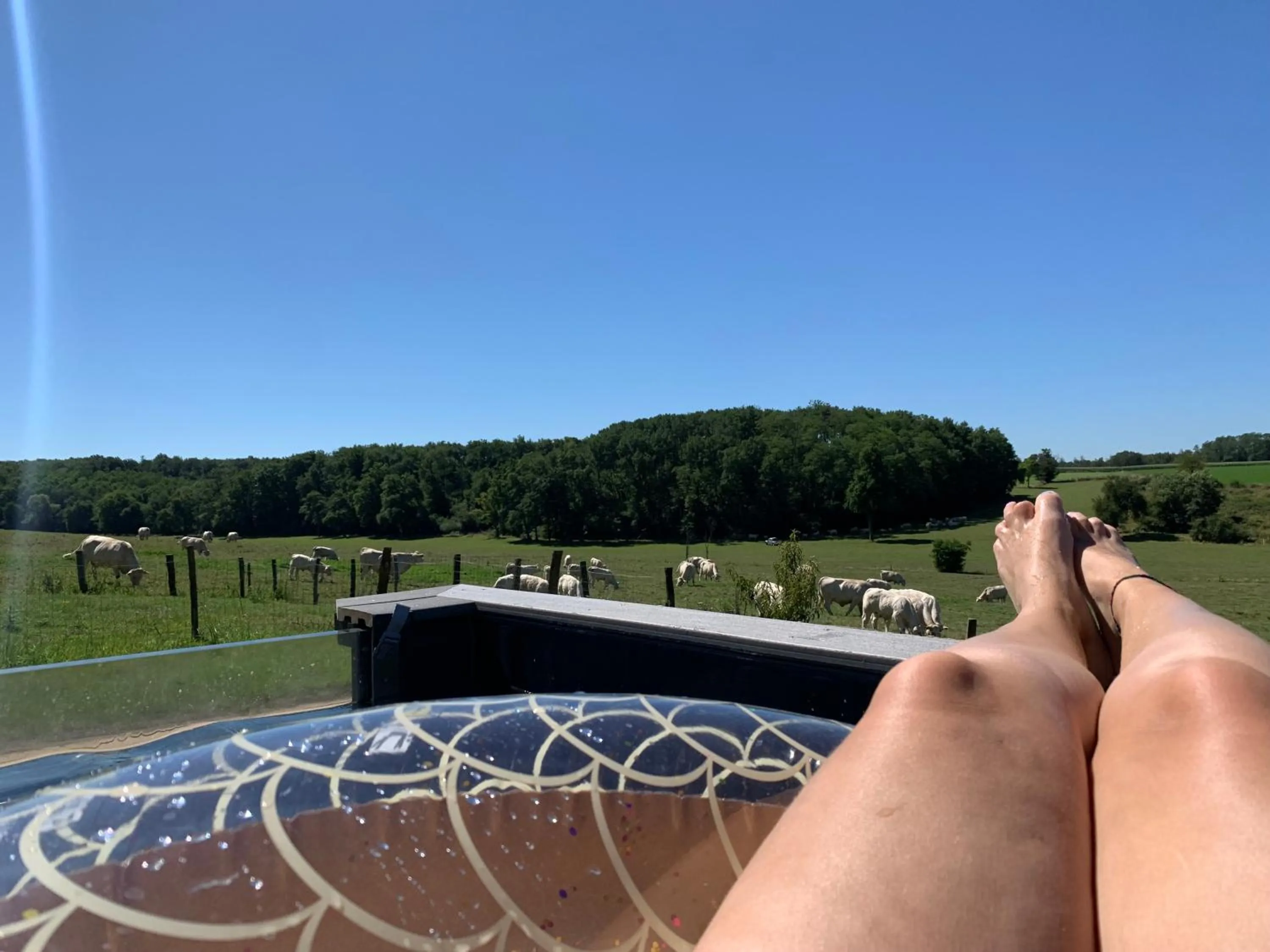 Swimming pool in La Ferme du Bonheur