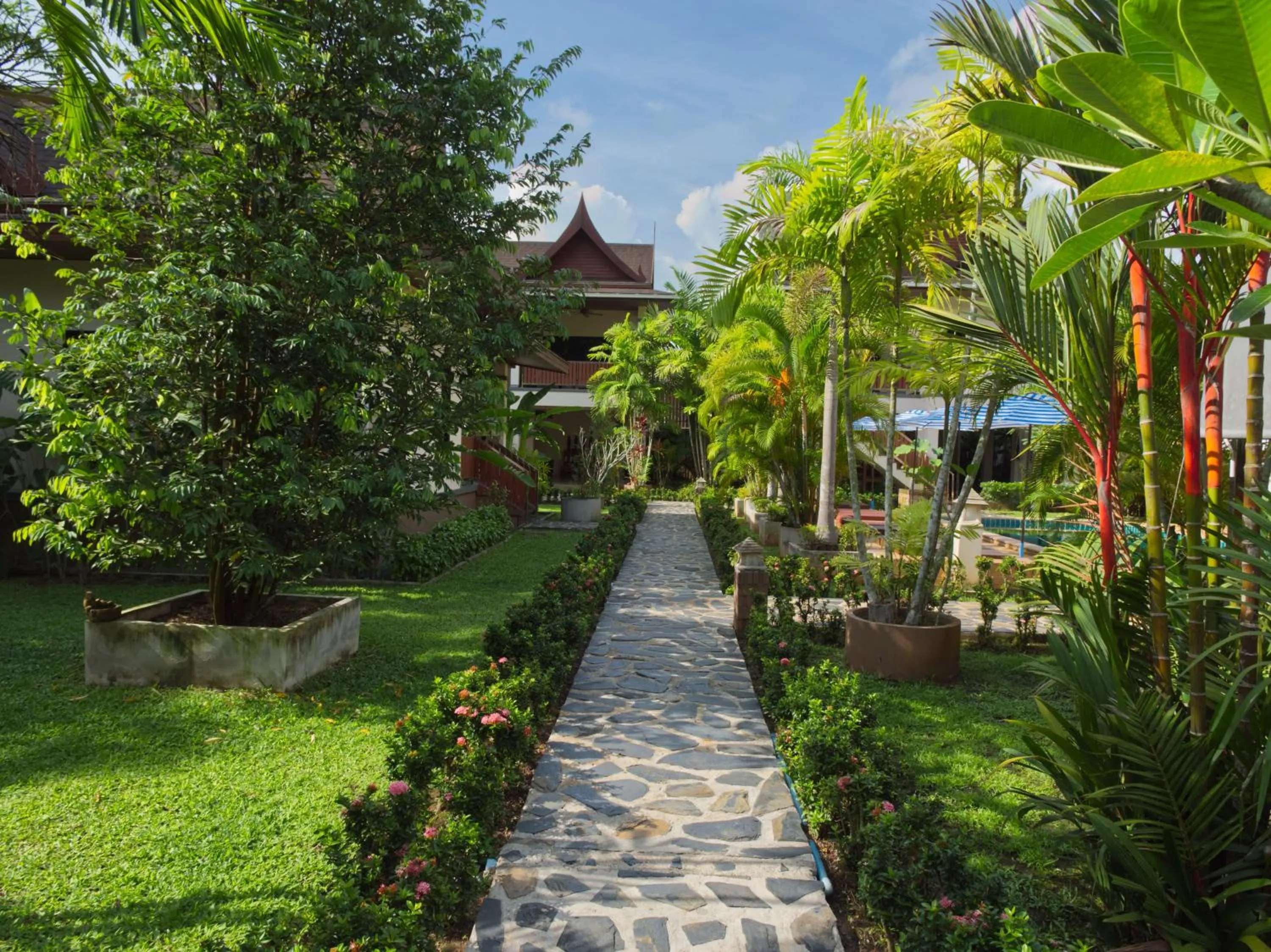 Garden in Chanapha Residence