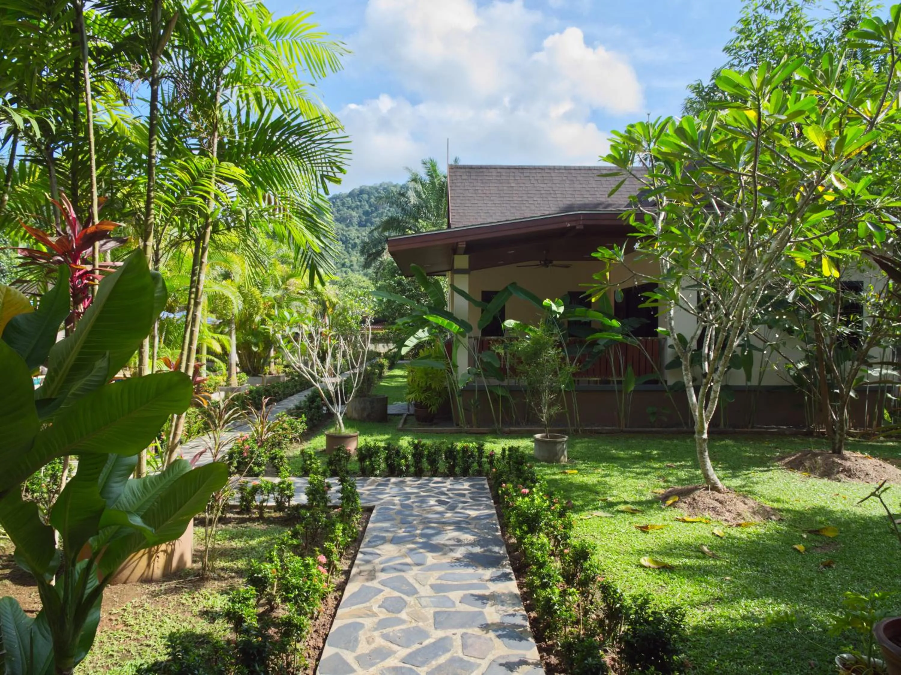 Garden in Chanapha Residence