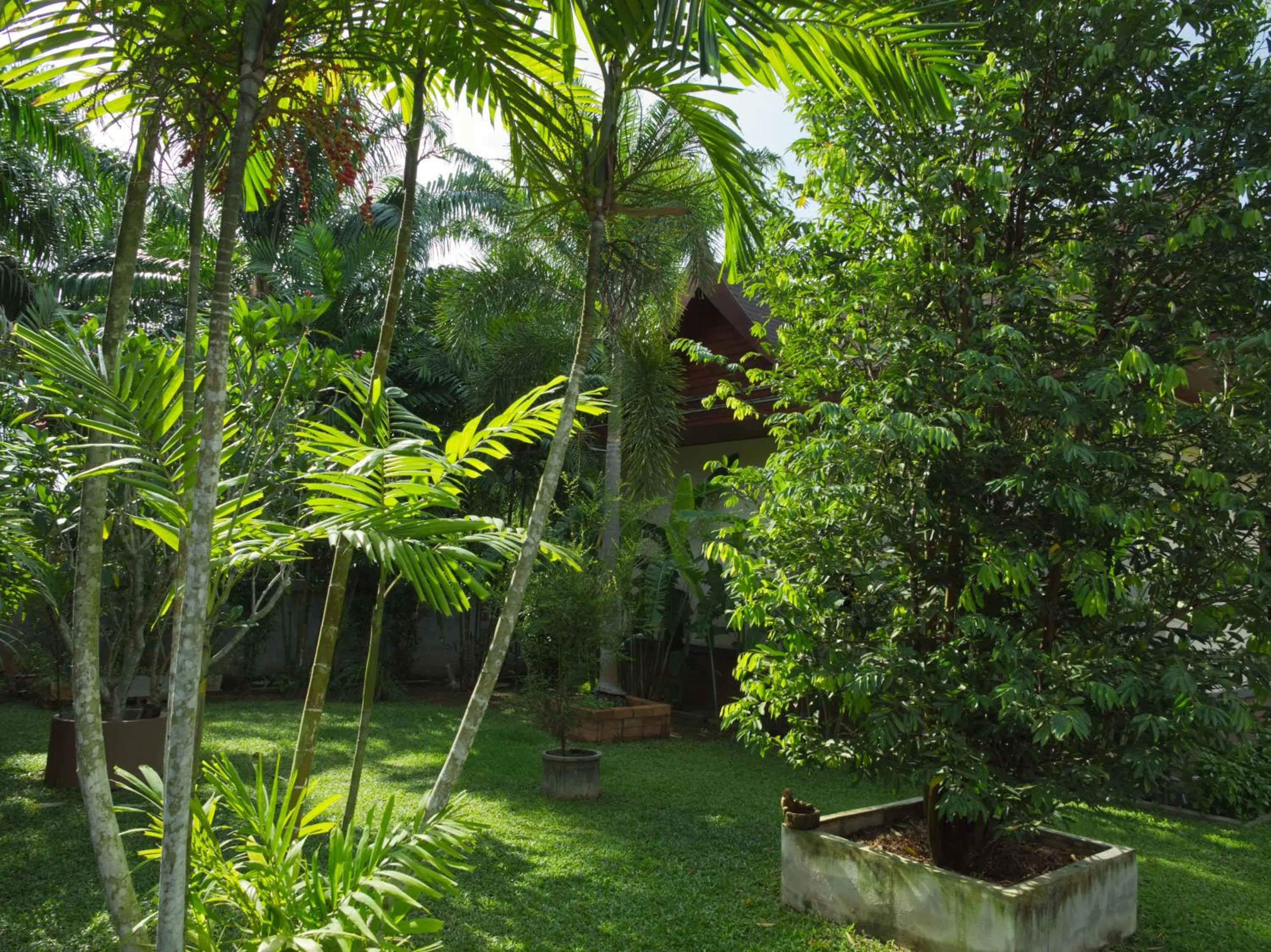 Garden in Chanapha Residence