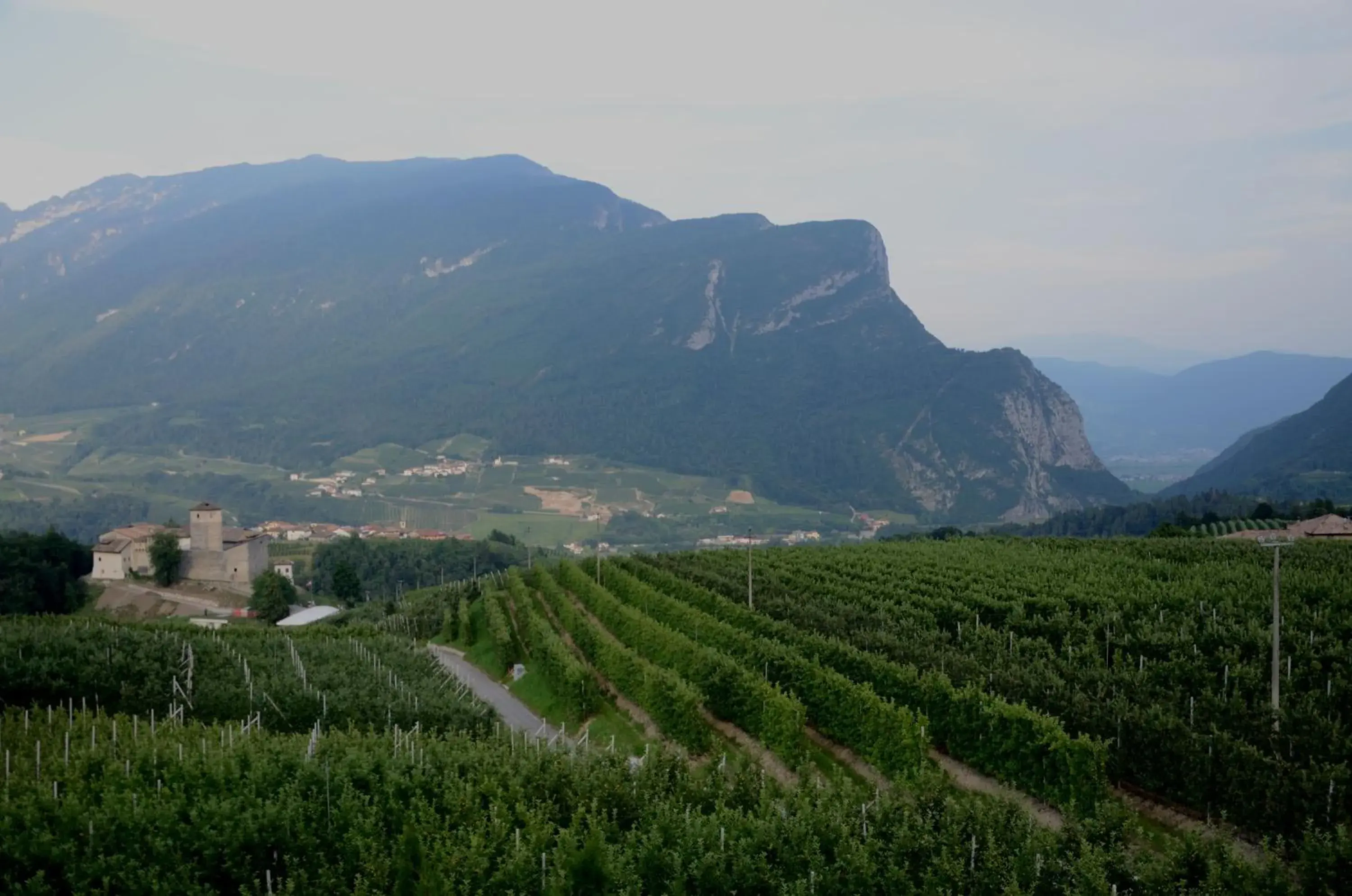 Double or Twin Room with Private Bathroom in Al Trifoglio Double or Twin Room with Private Bathroom in Al Trifoglio