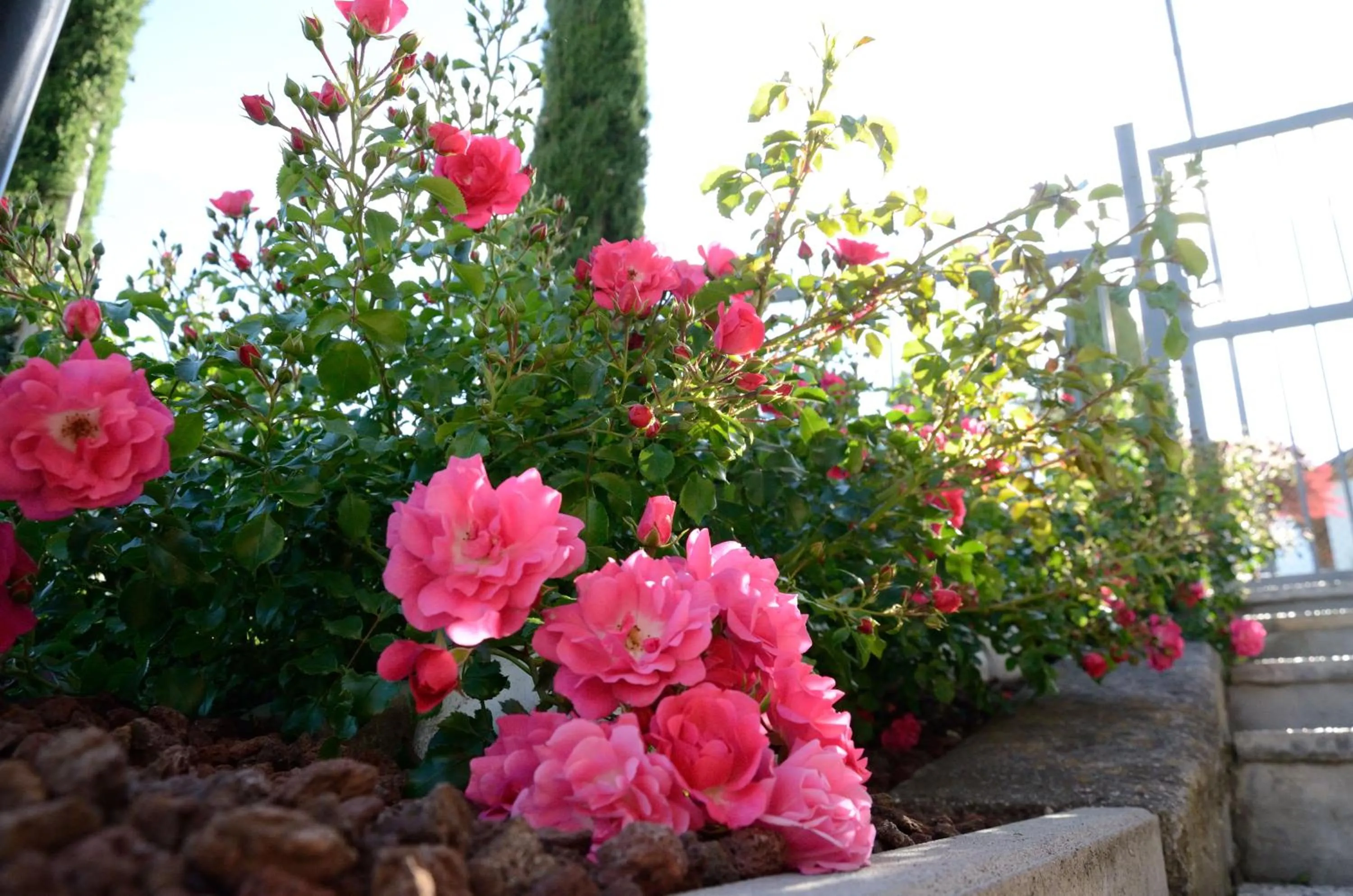 Garden in Al Trifoglio