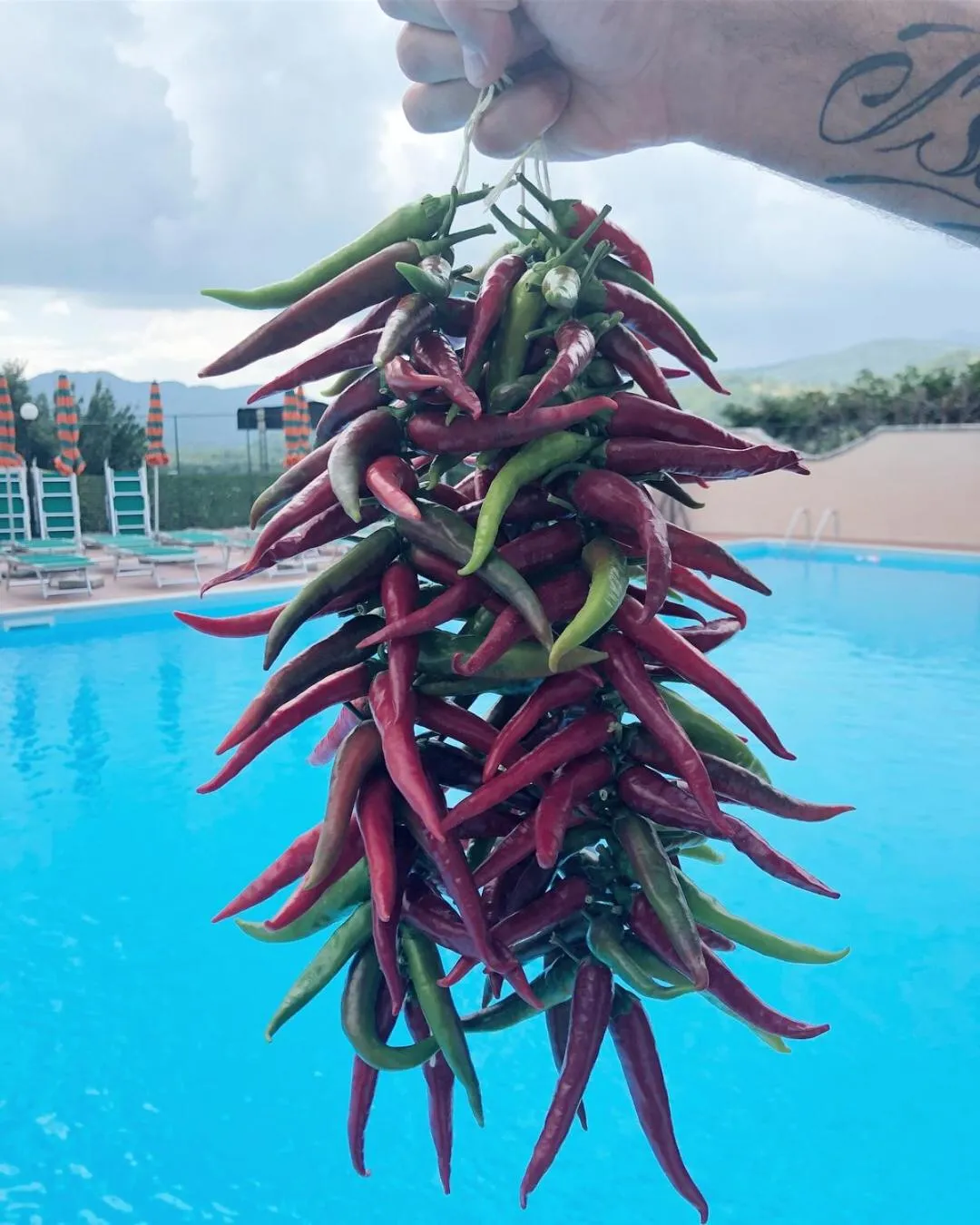 Restaurant/places to eat in Rifugio del Cavaliere