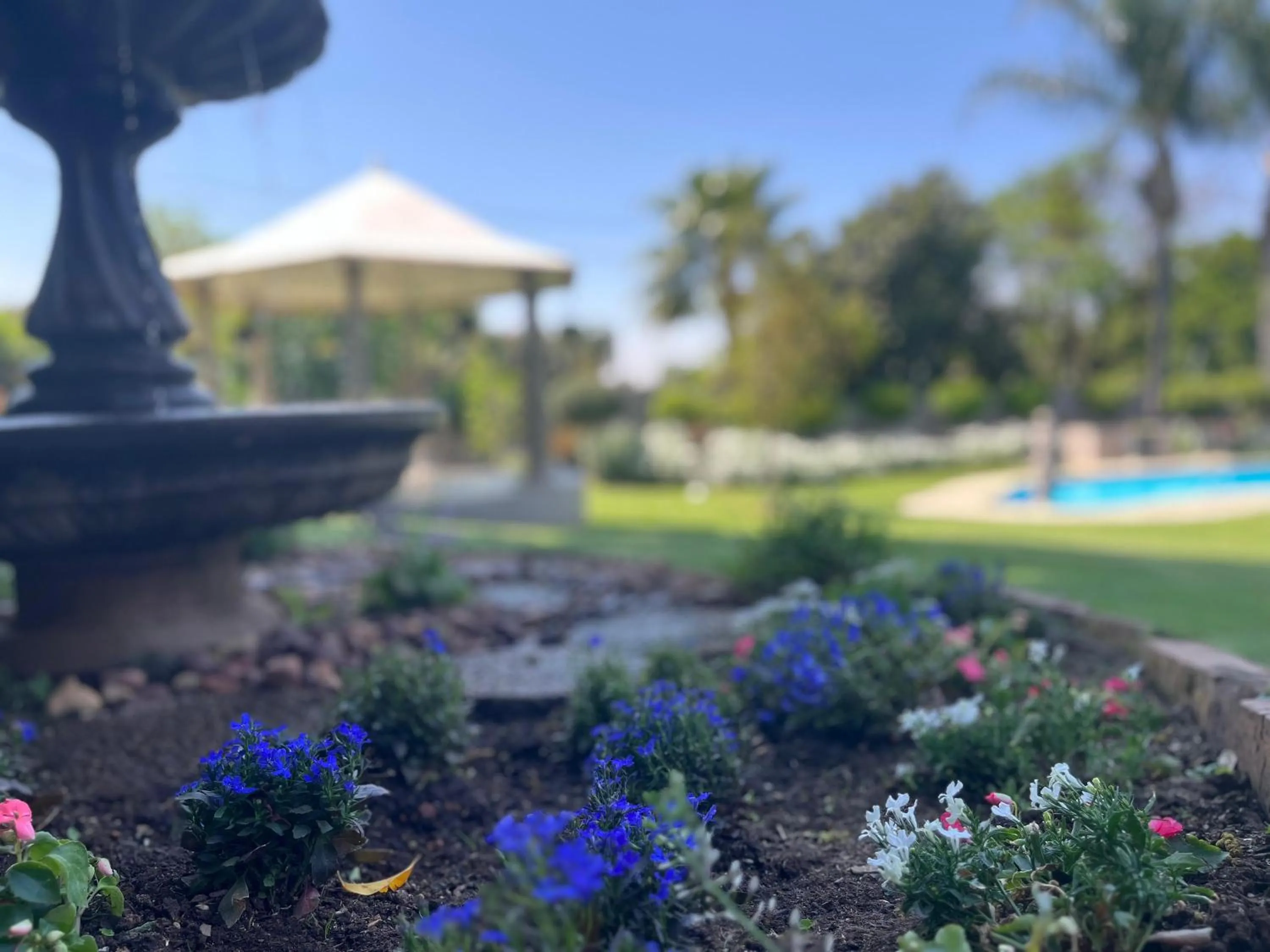 Garden in La Vida Luka - Luxury Guesthouse