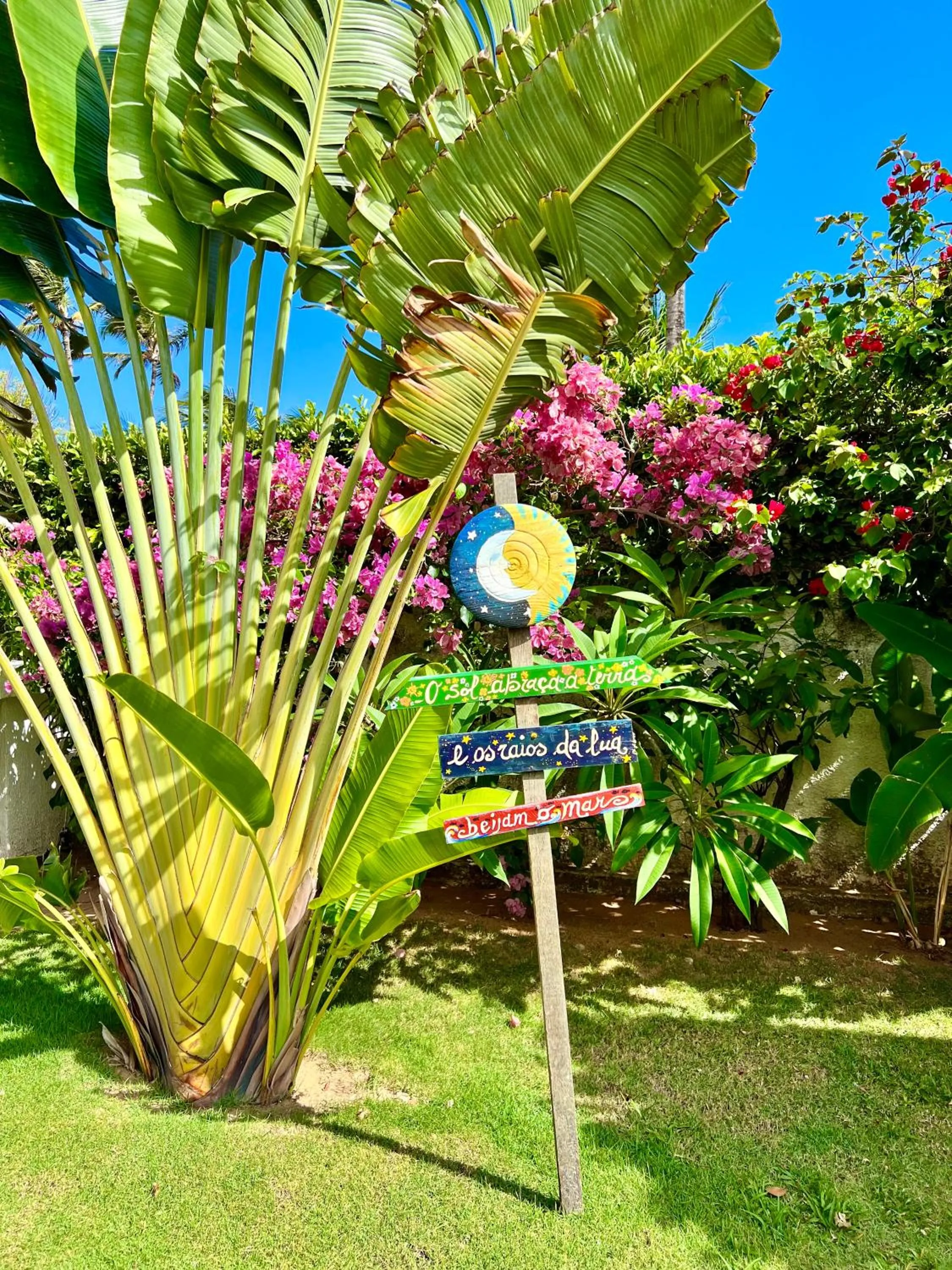 Garden in Tucano Pousada