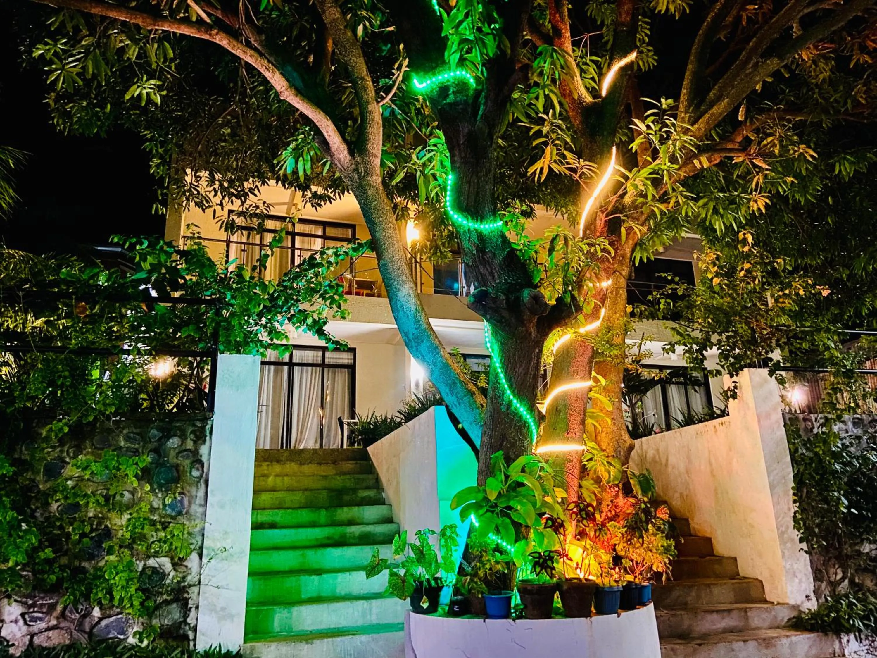 Night in Bentrina Diving Resort