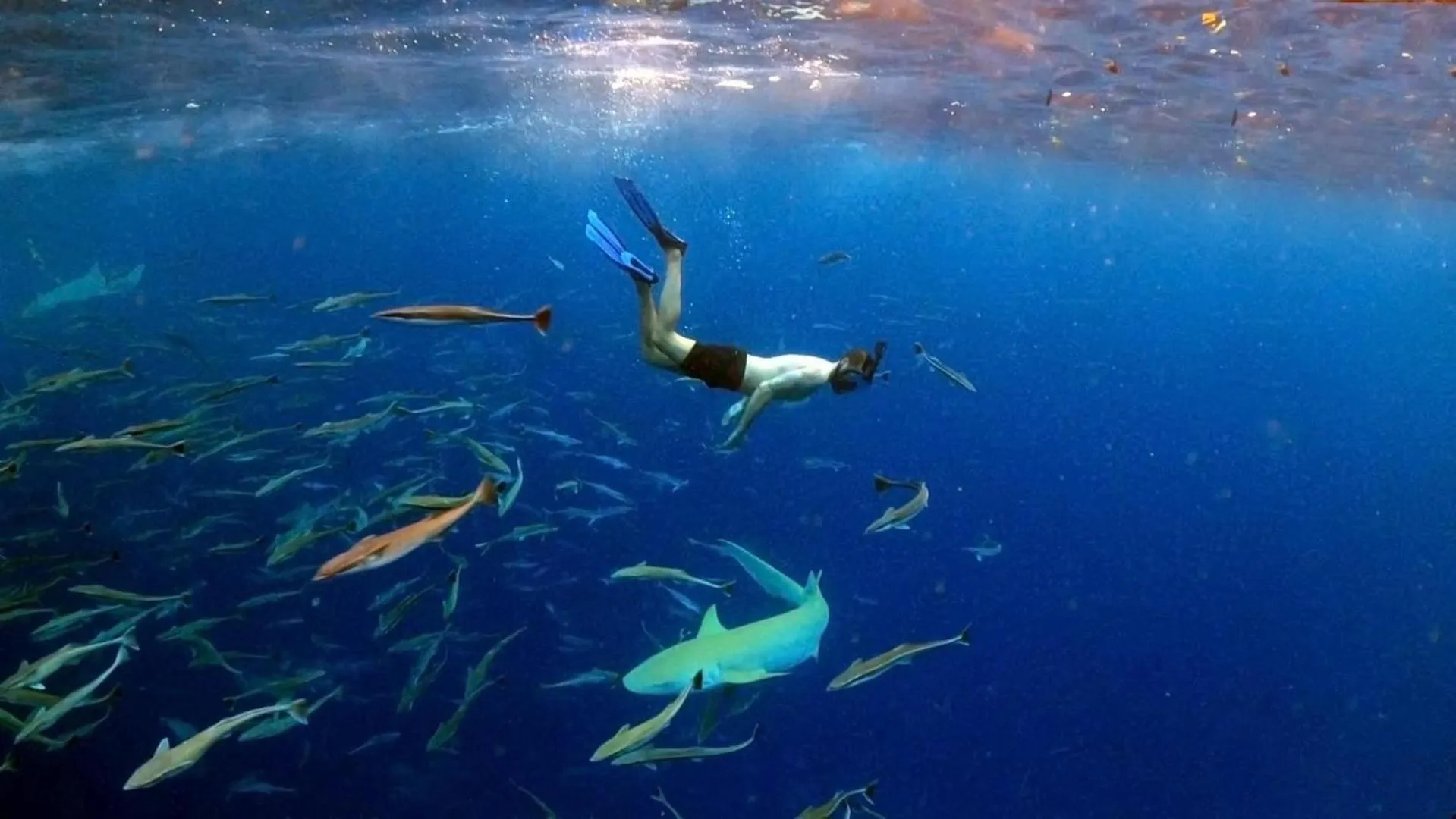 Activities in Kiha Beach