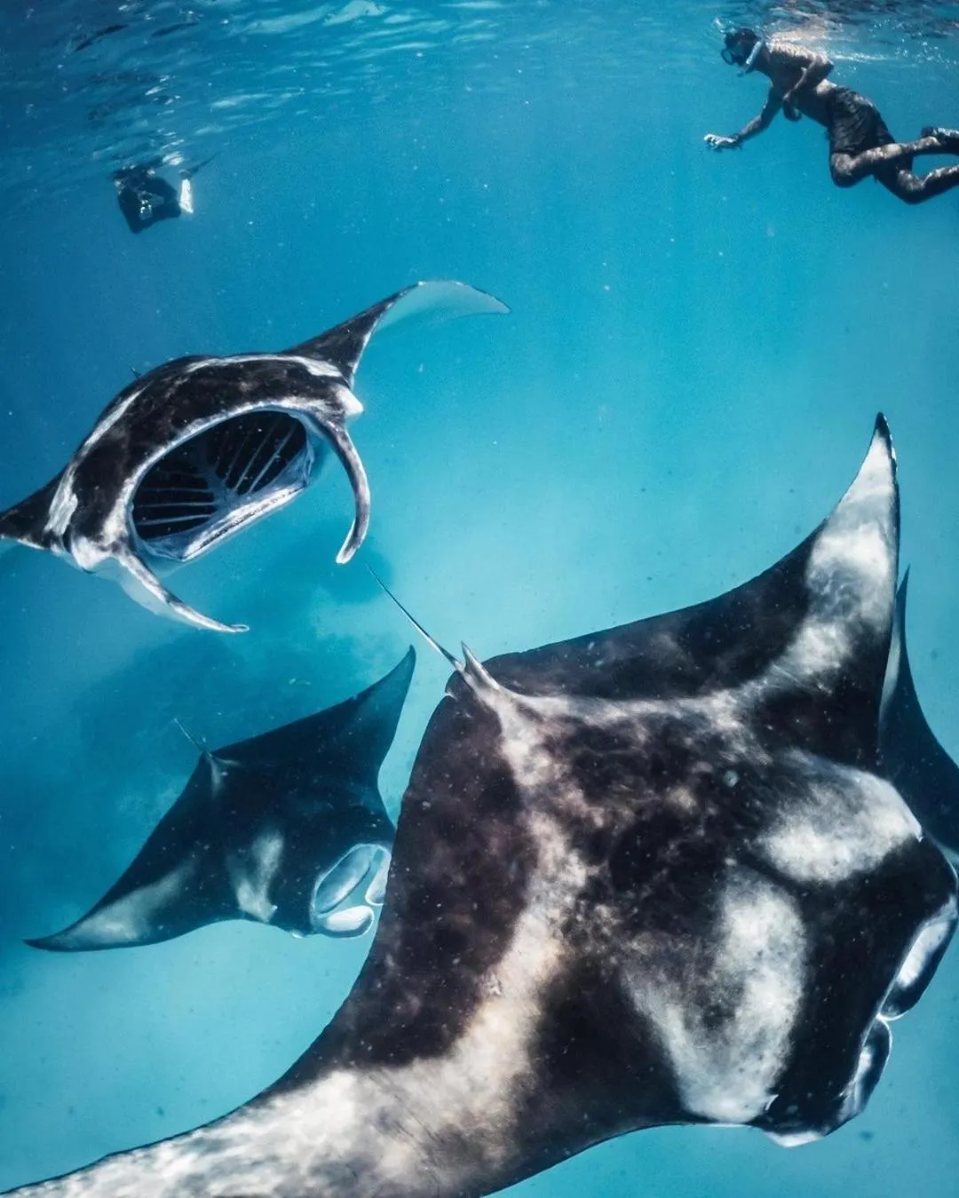 Activities in Kiha Beach