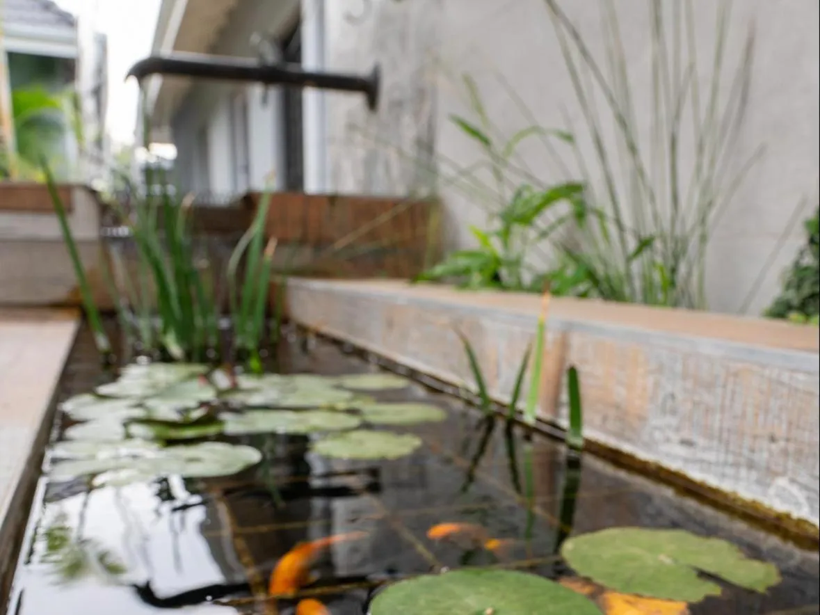 Garden in Familia Guesthouse & Boutique Hotel