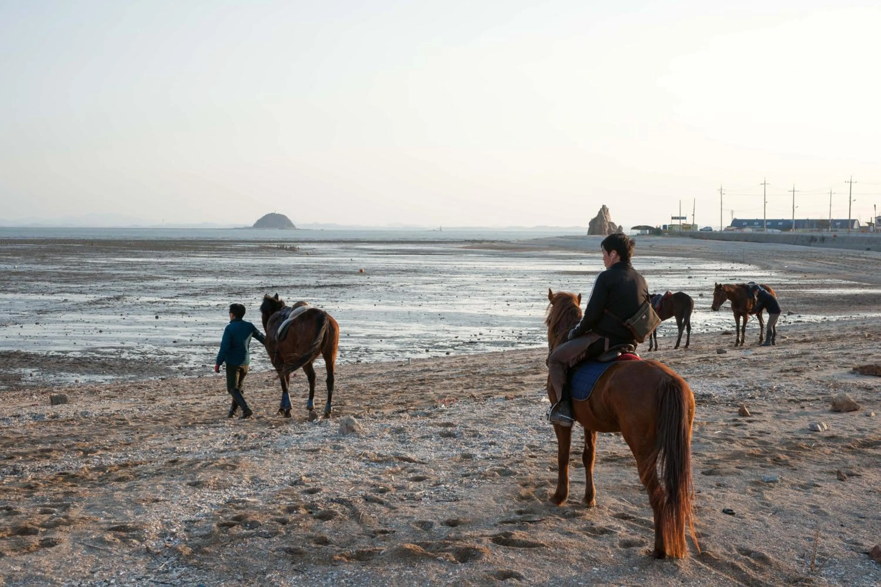 Pets in Sunrise Pension