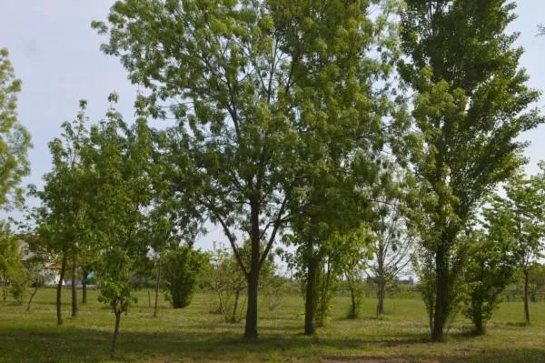 Garden in B&B Tenuta Zavaia