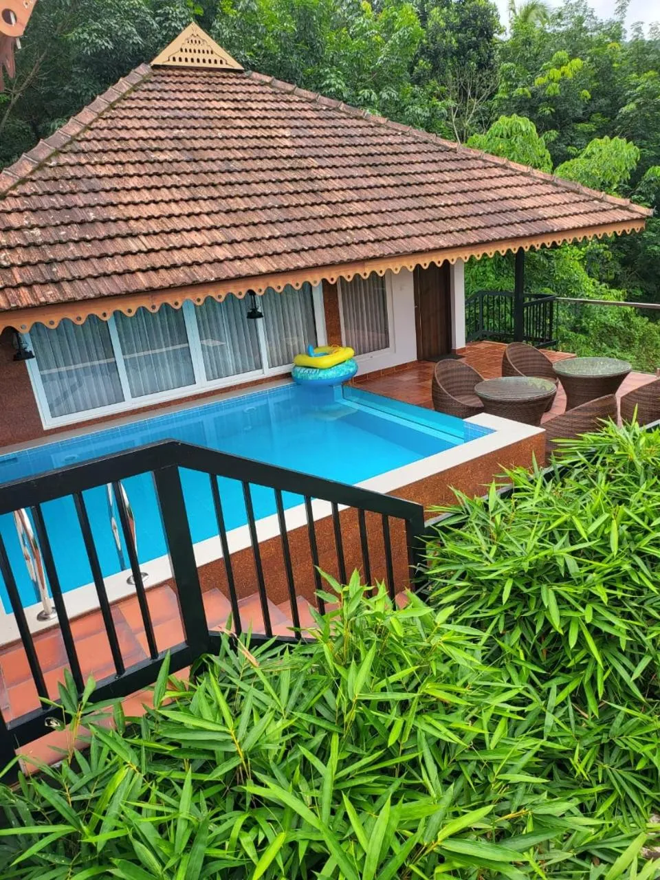 Athirapally Green Trees