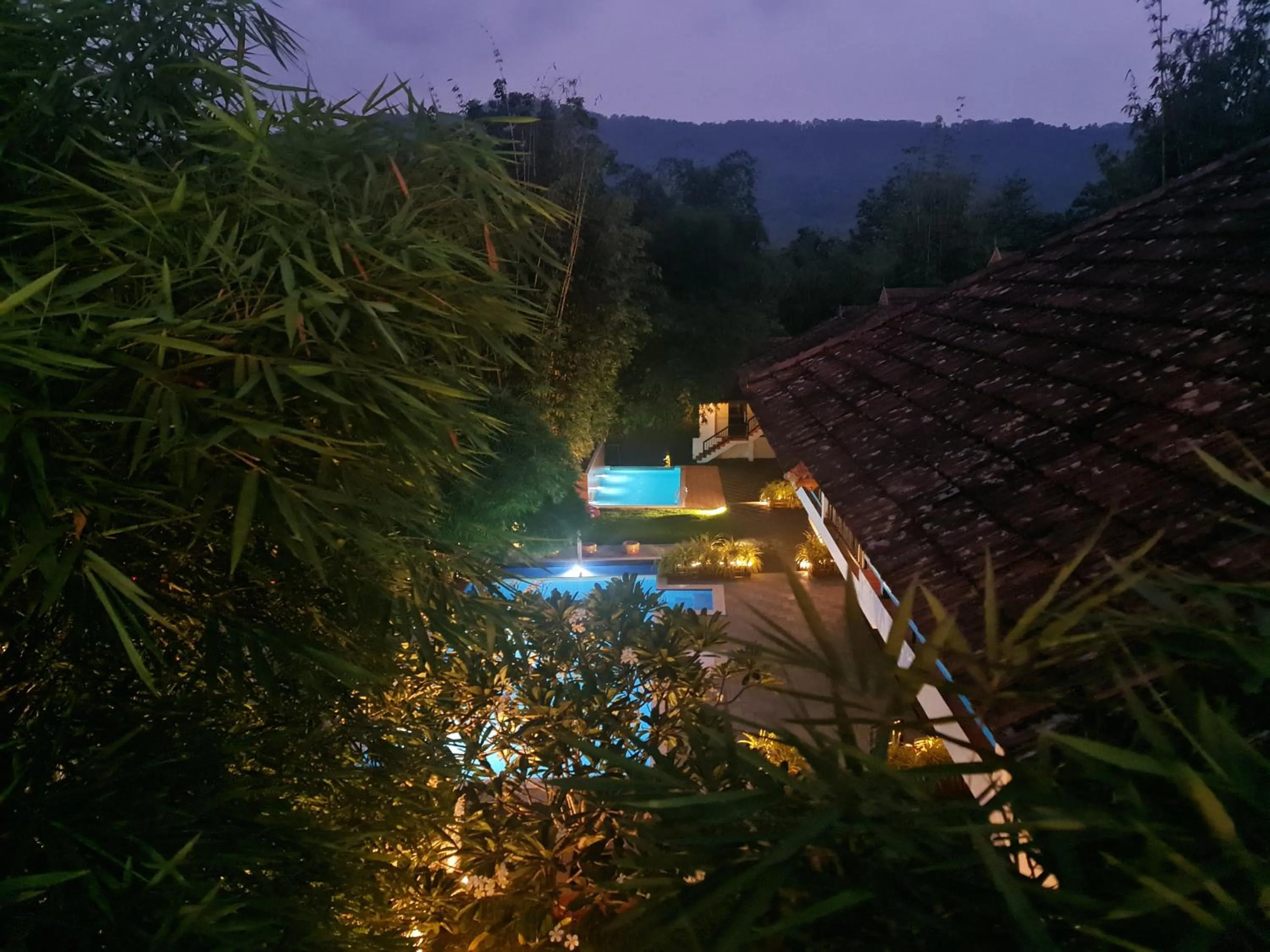 Night in Athirapally Green Trees