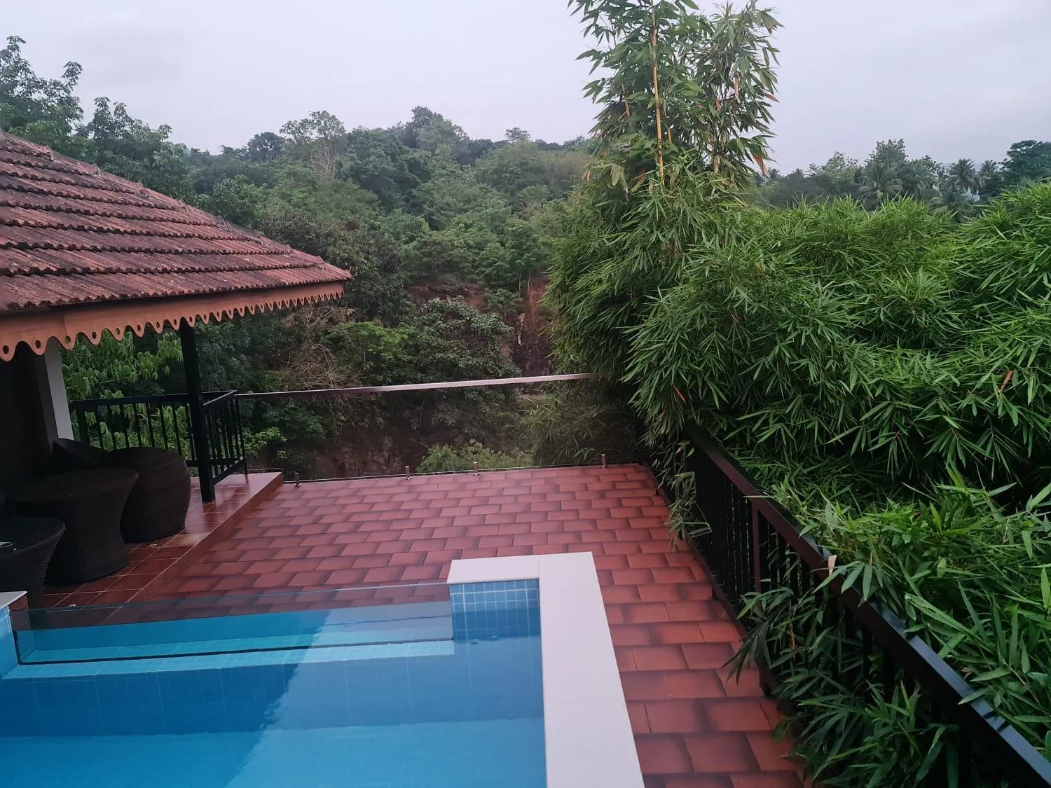 Athirapally Green Trees