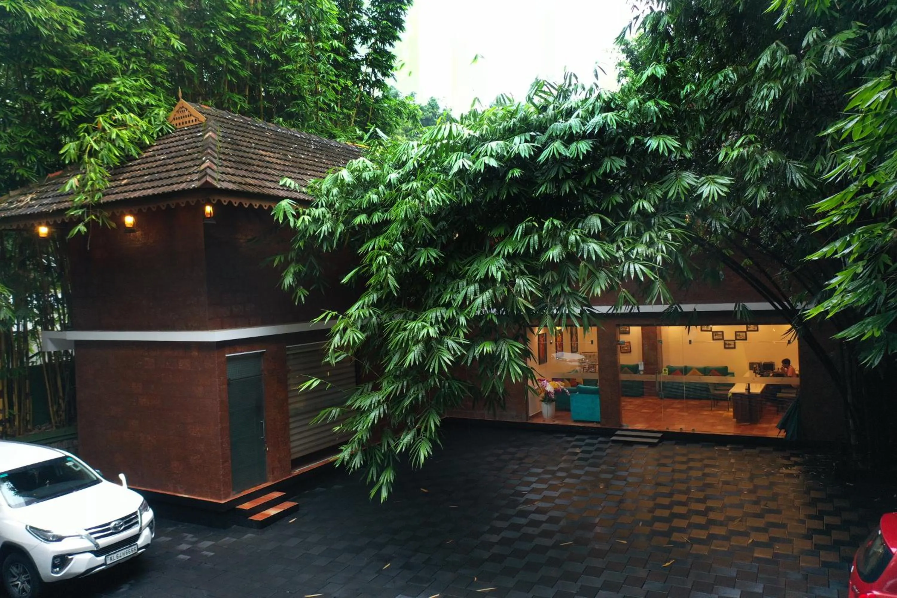 Athirapally Green Trees