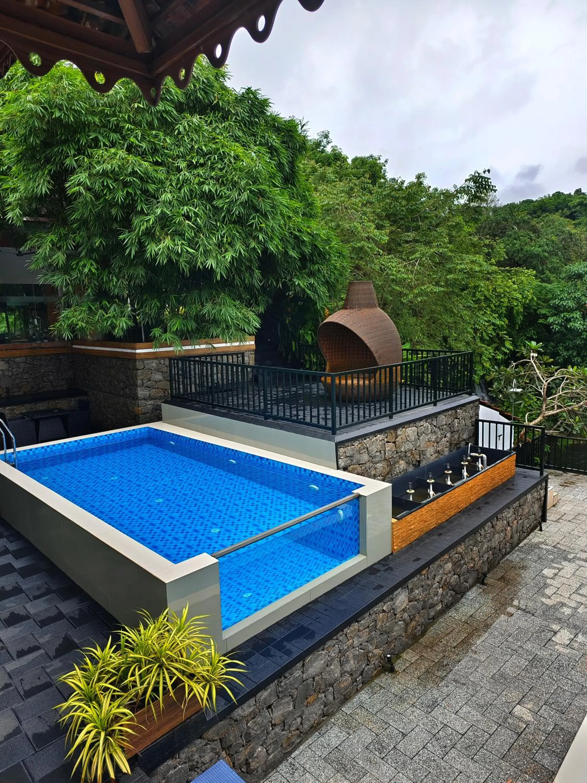 Athirapally Green Trees