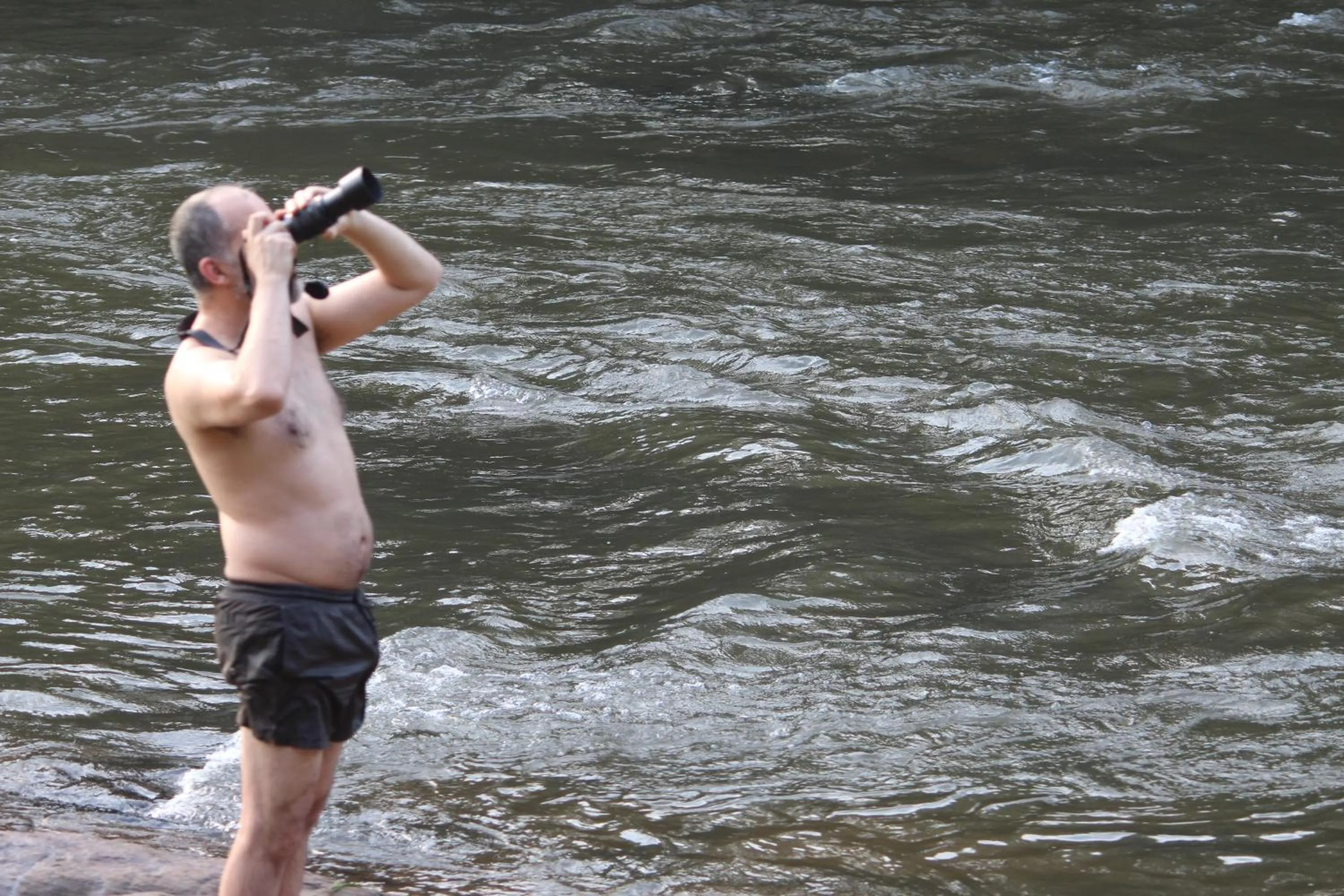 Day in Athirapally Green Trees