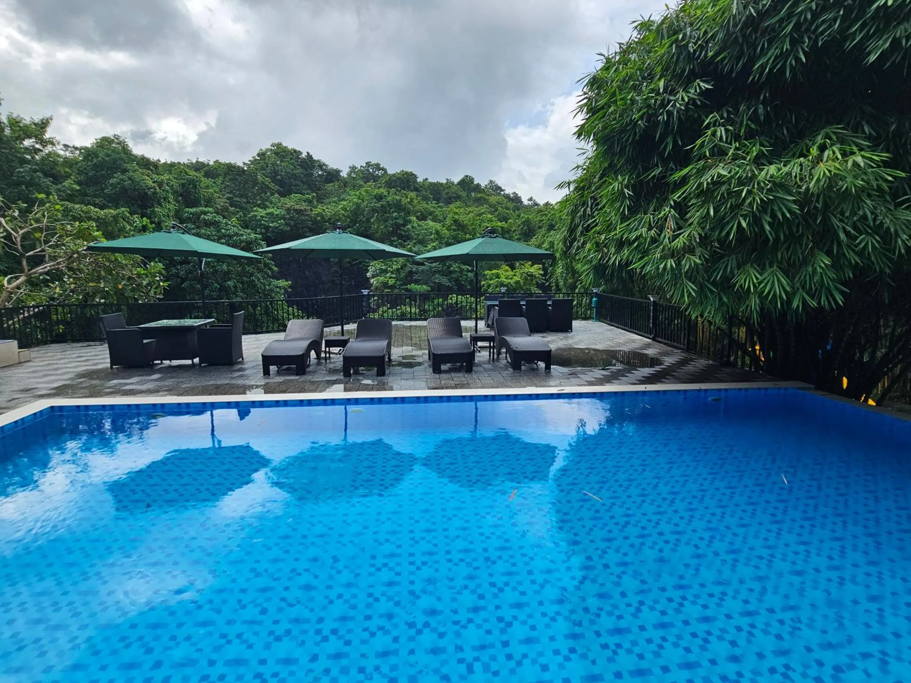 Pool view in Athirapally Green Trees