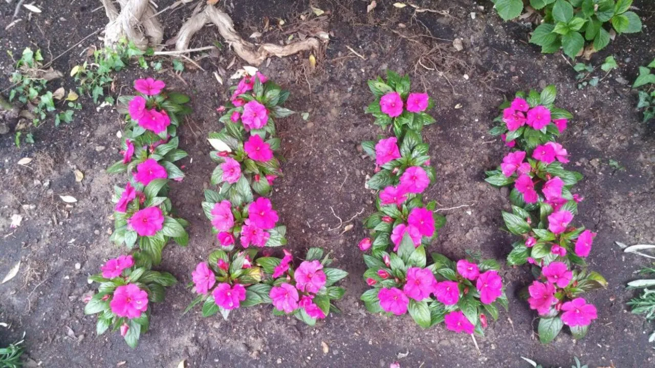 Decorative detail in Hotel ILLI