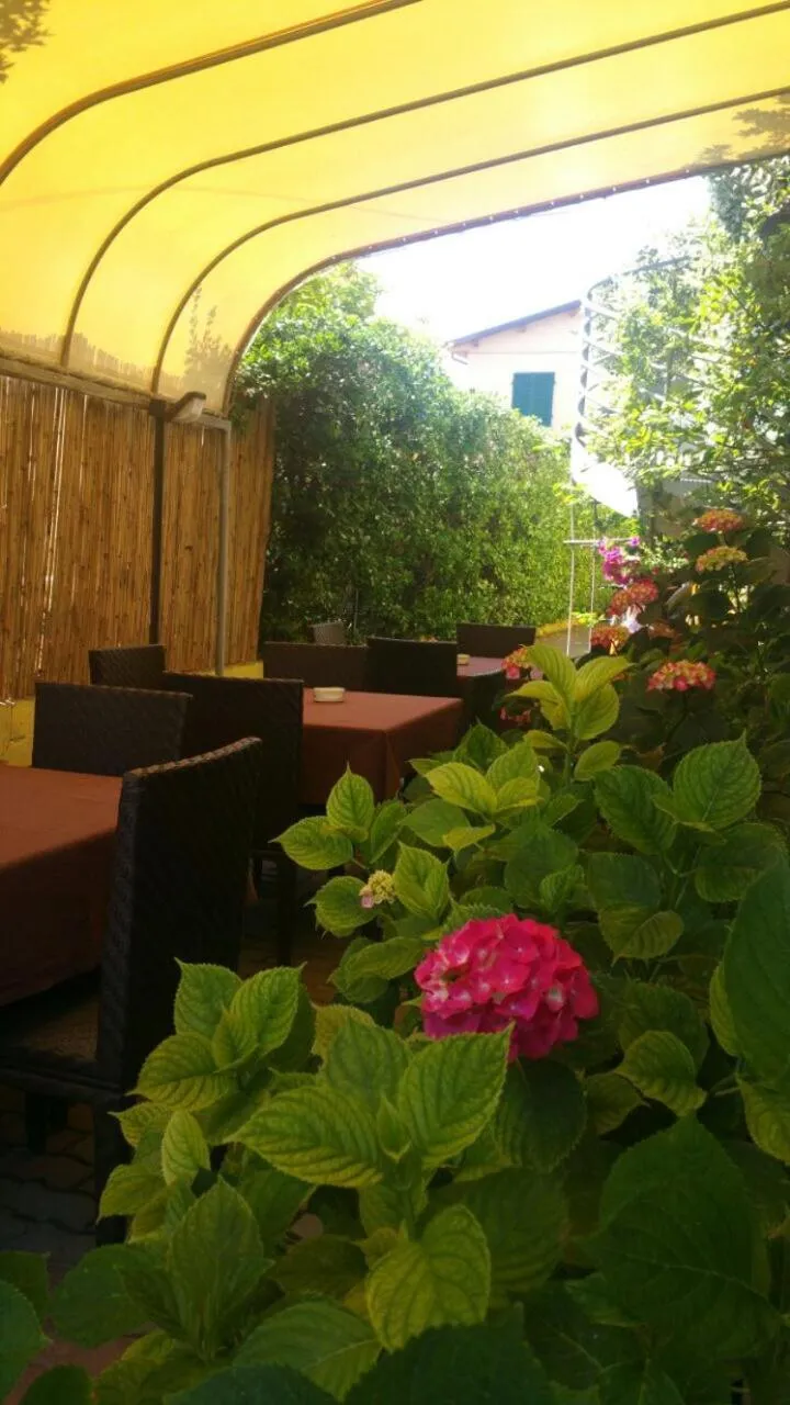 Garden in Hotel ILLI