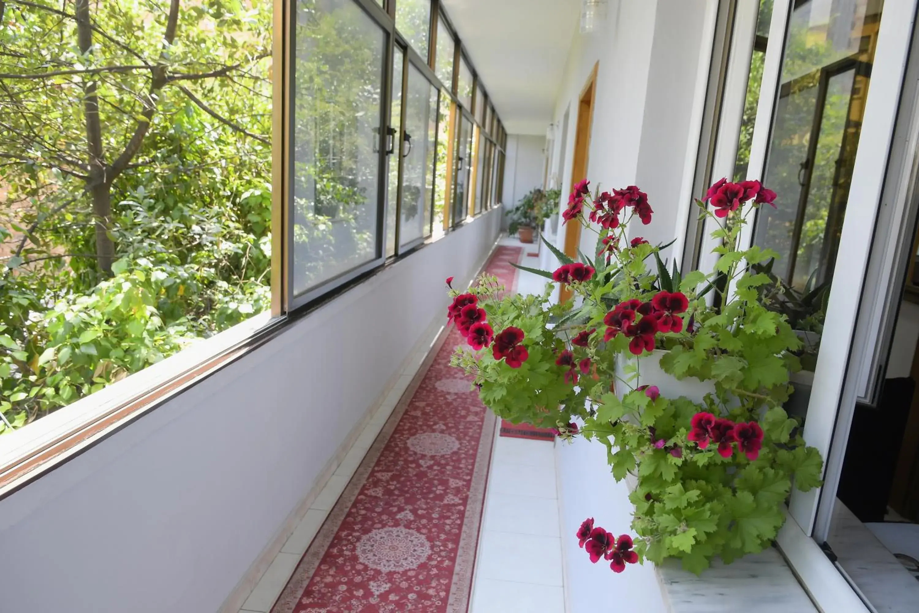 Basic Triple Room in Hotel HAXHIU Basic Triple Room in Hotel HAXHIU