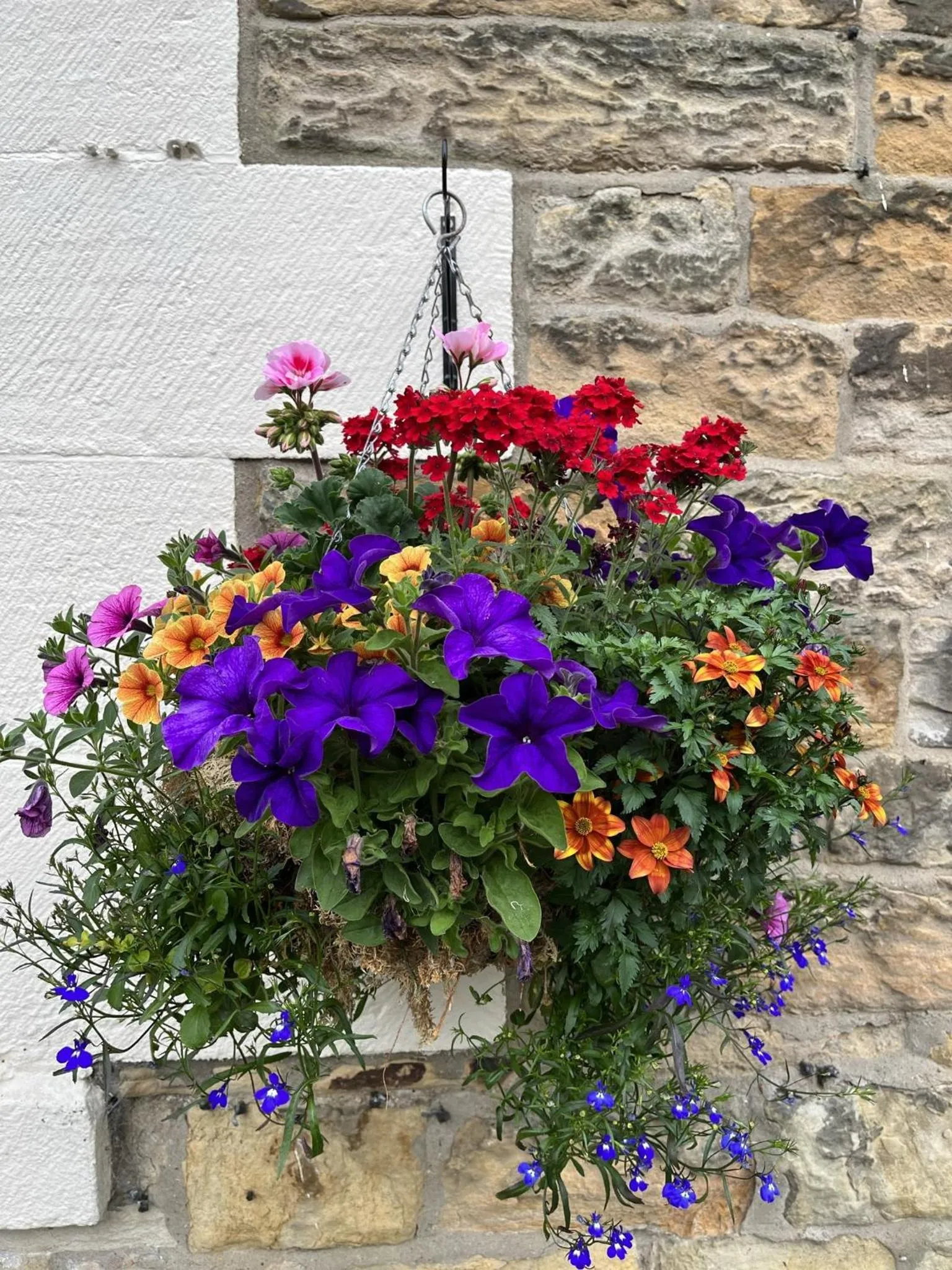 Property building in Shaftoe's Bed and Breakfast