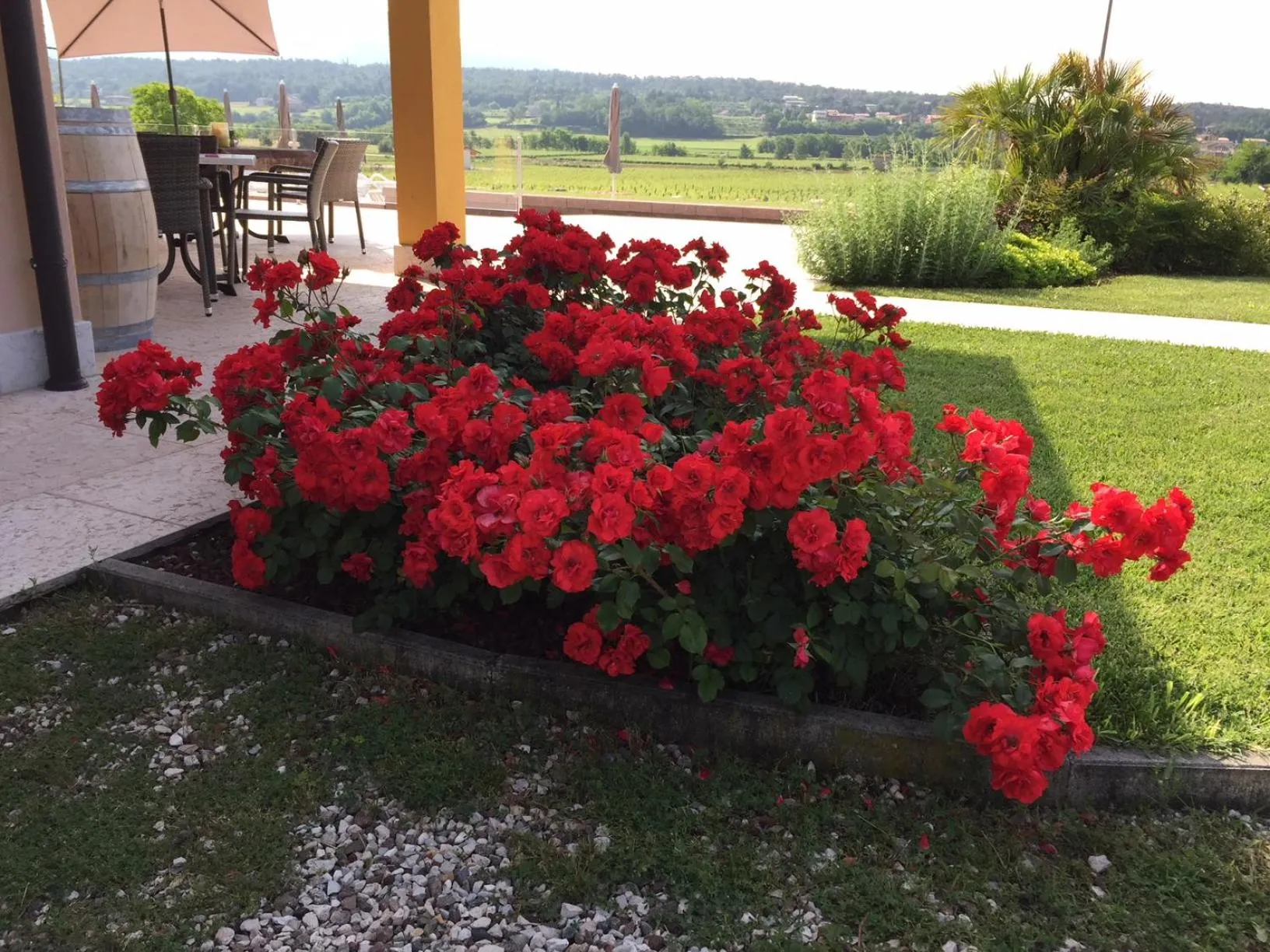 Garden in B&B Ca' Marognole