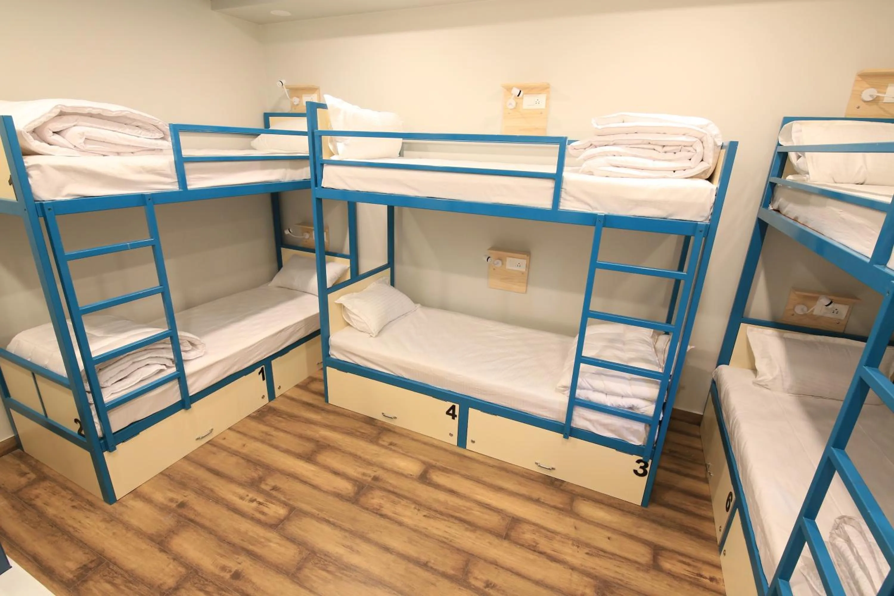 Bed in Blue Beds Hostel