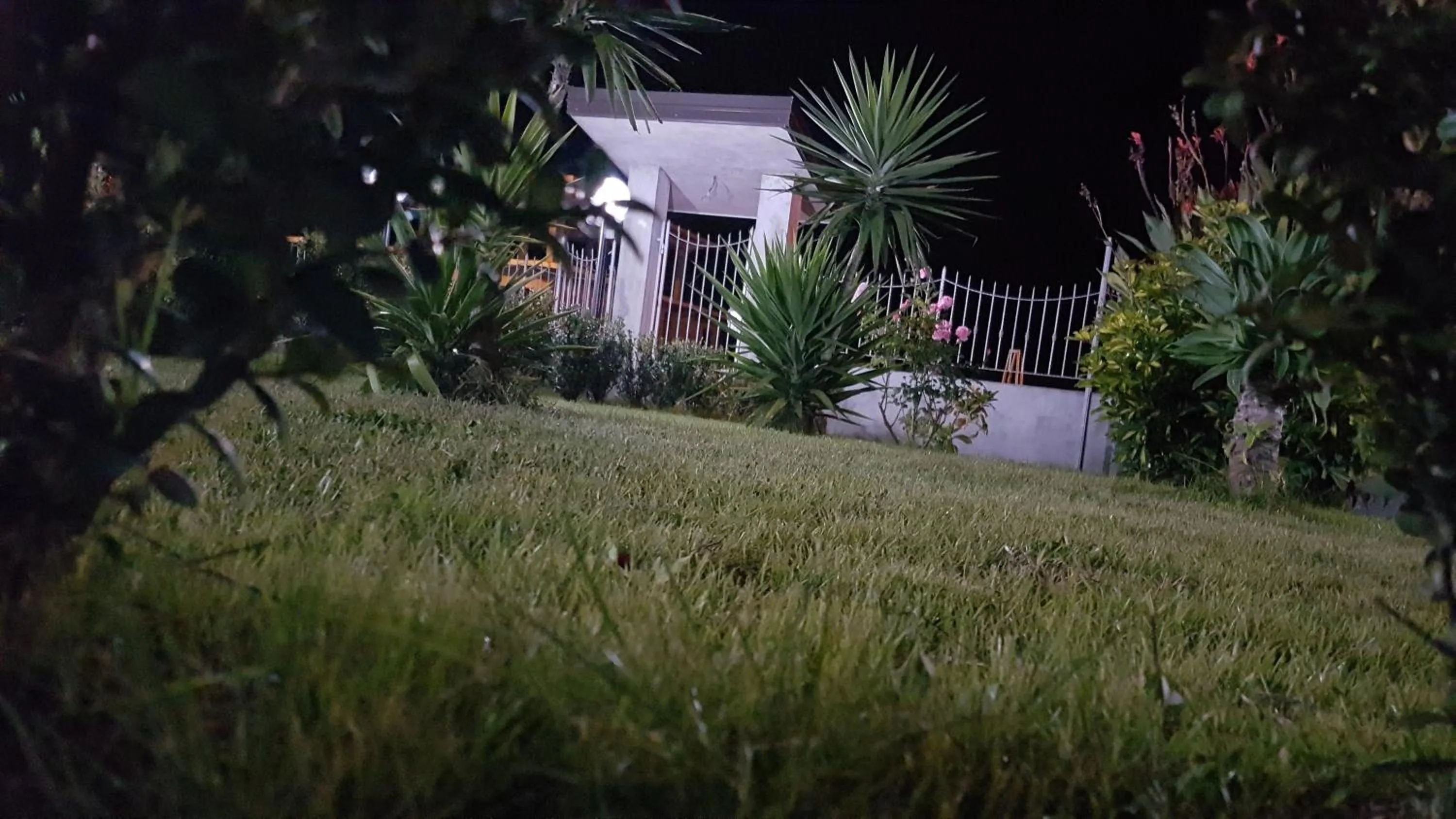 Garden in B&B Villa Eleonora Tropea