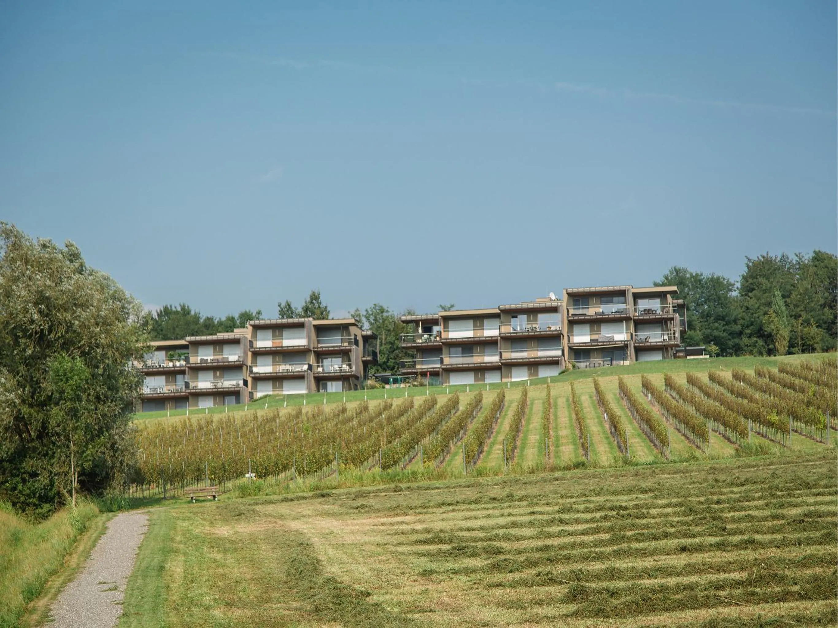 Wohnen im Wein