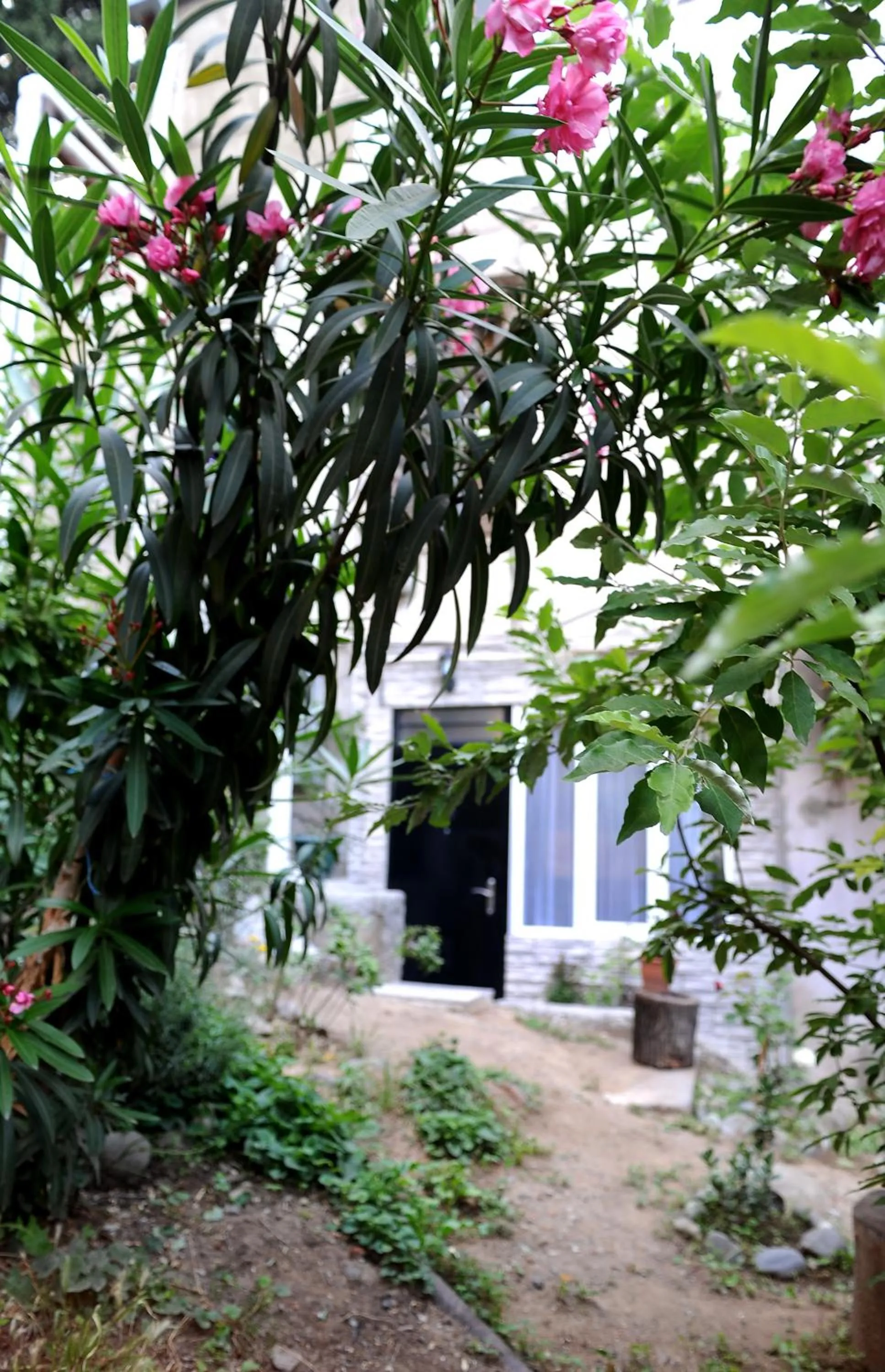 Apartment with Garden View - single occupancy in Old Vera