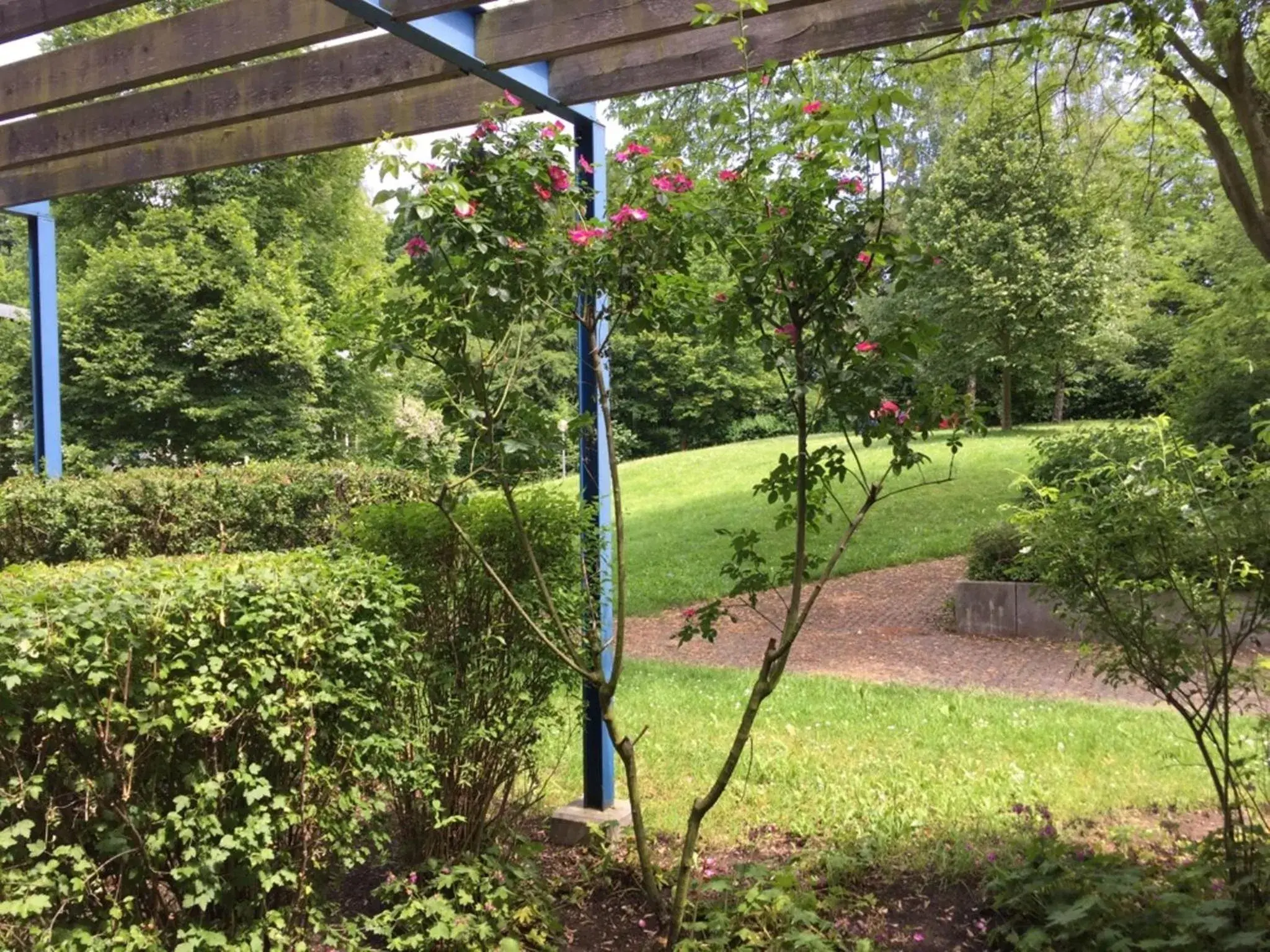 Double or Twin Room with Terrace in bfwhotel und Tagungszentrum Double or Twin Room with Terrace in bfwhotel und Tagungszentrum