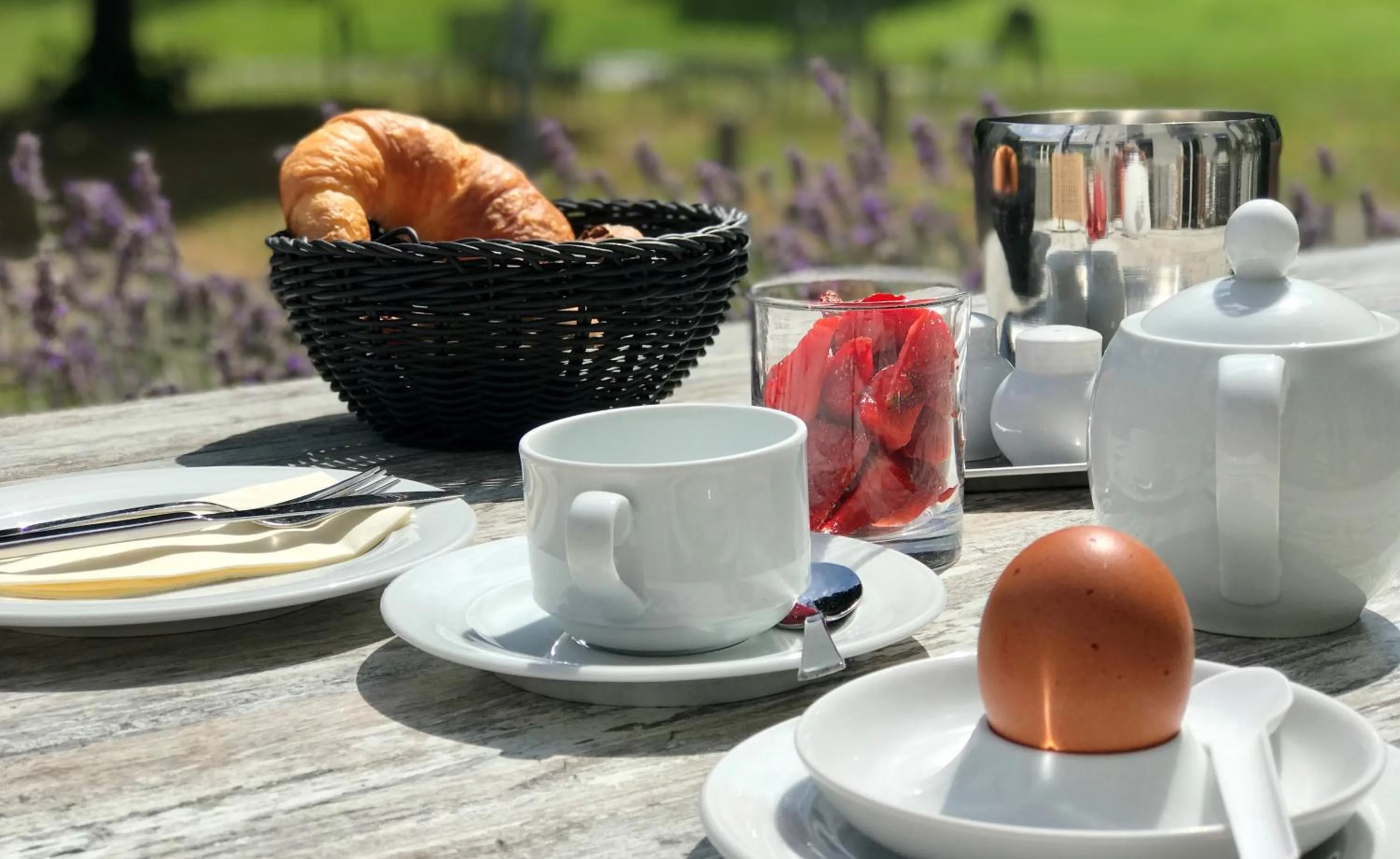 Garden in bfwhotel und Tagungszentrum