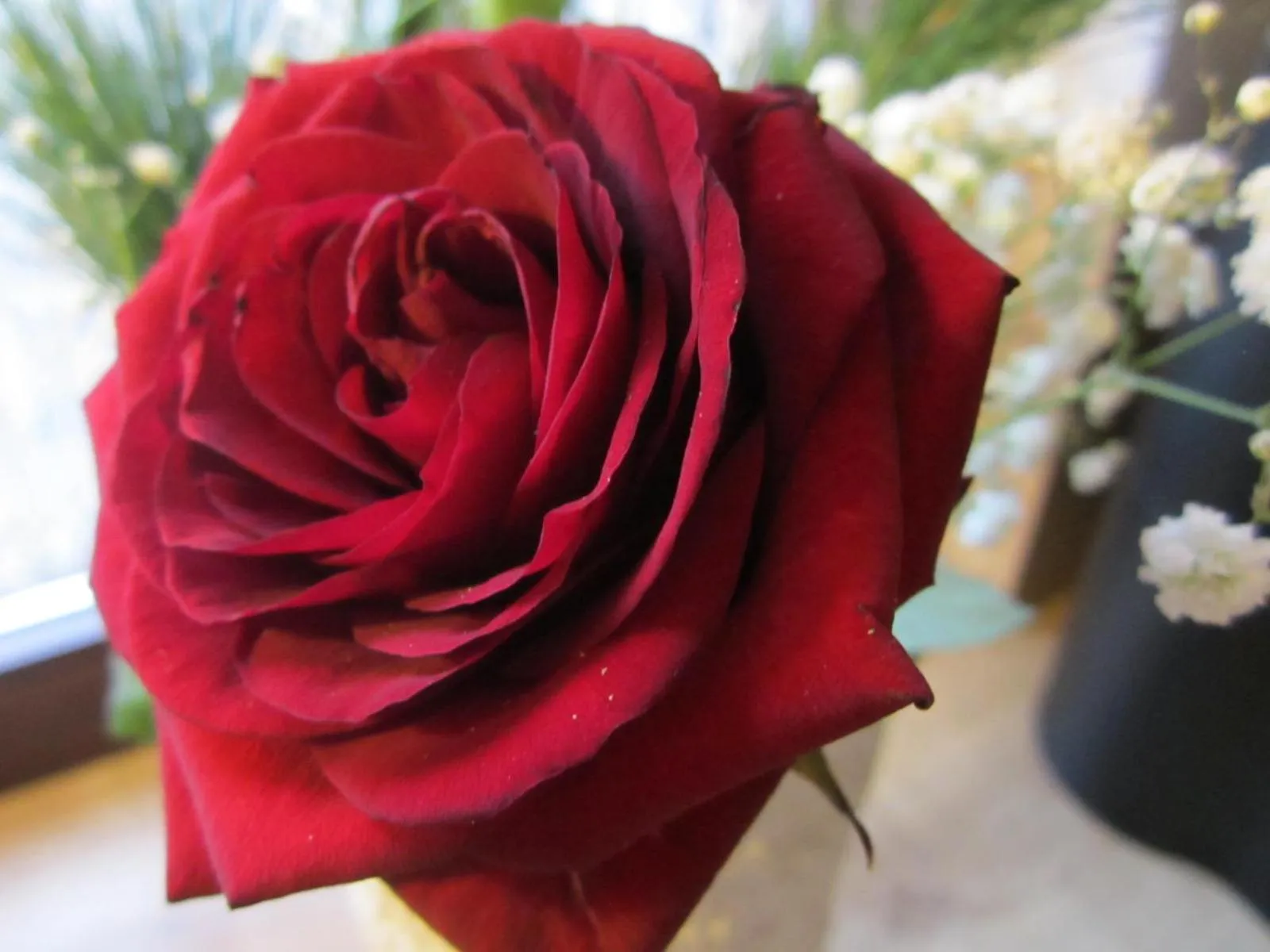 Decorative detail in Boardinghouse Wittenberg