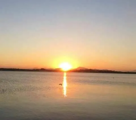 Other in Pousada Alto da Pontinha