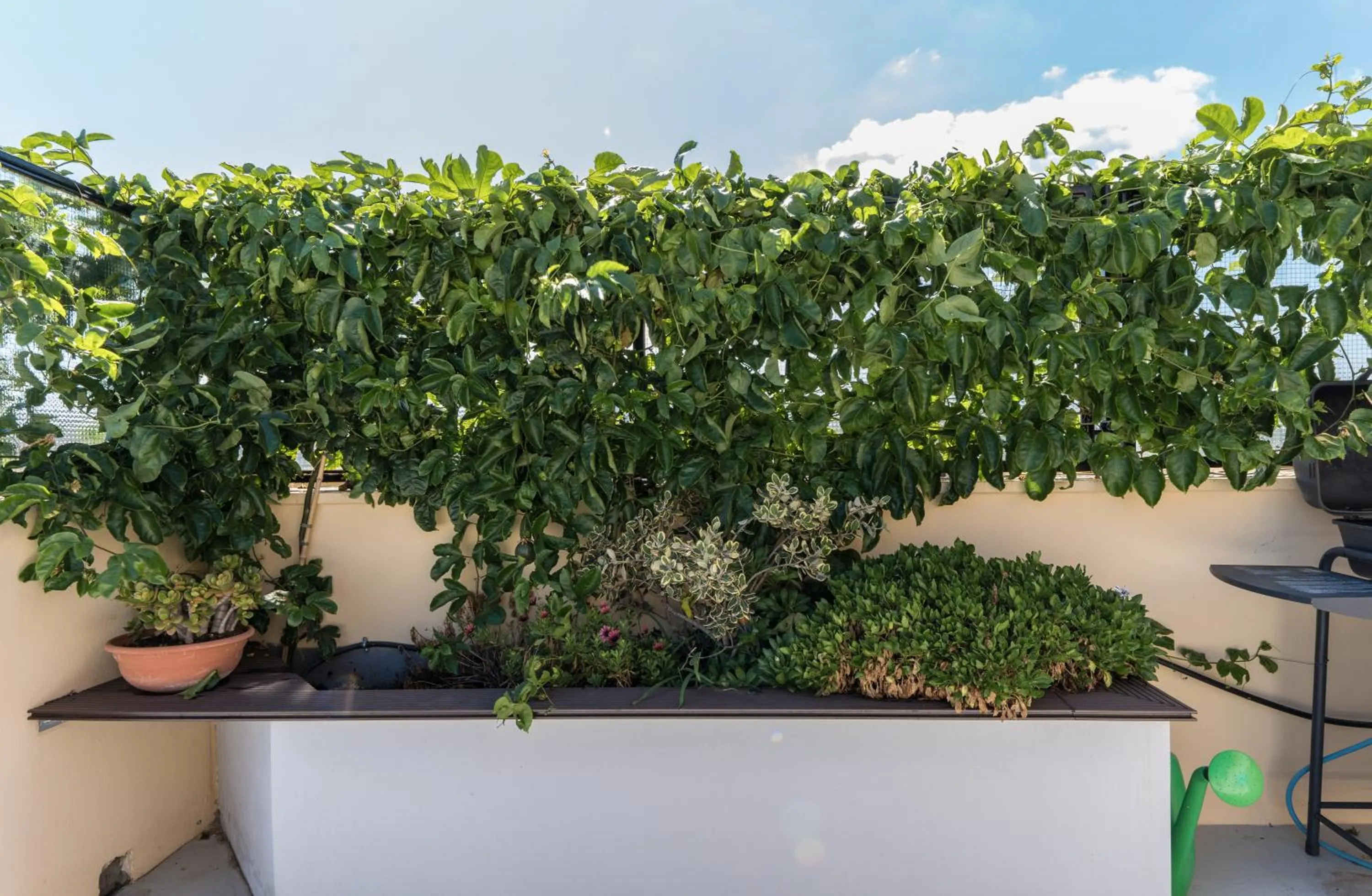 Patio in Casa Colibrì - Solemar Sicilia