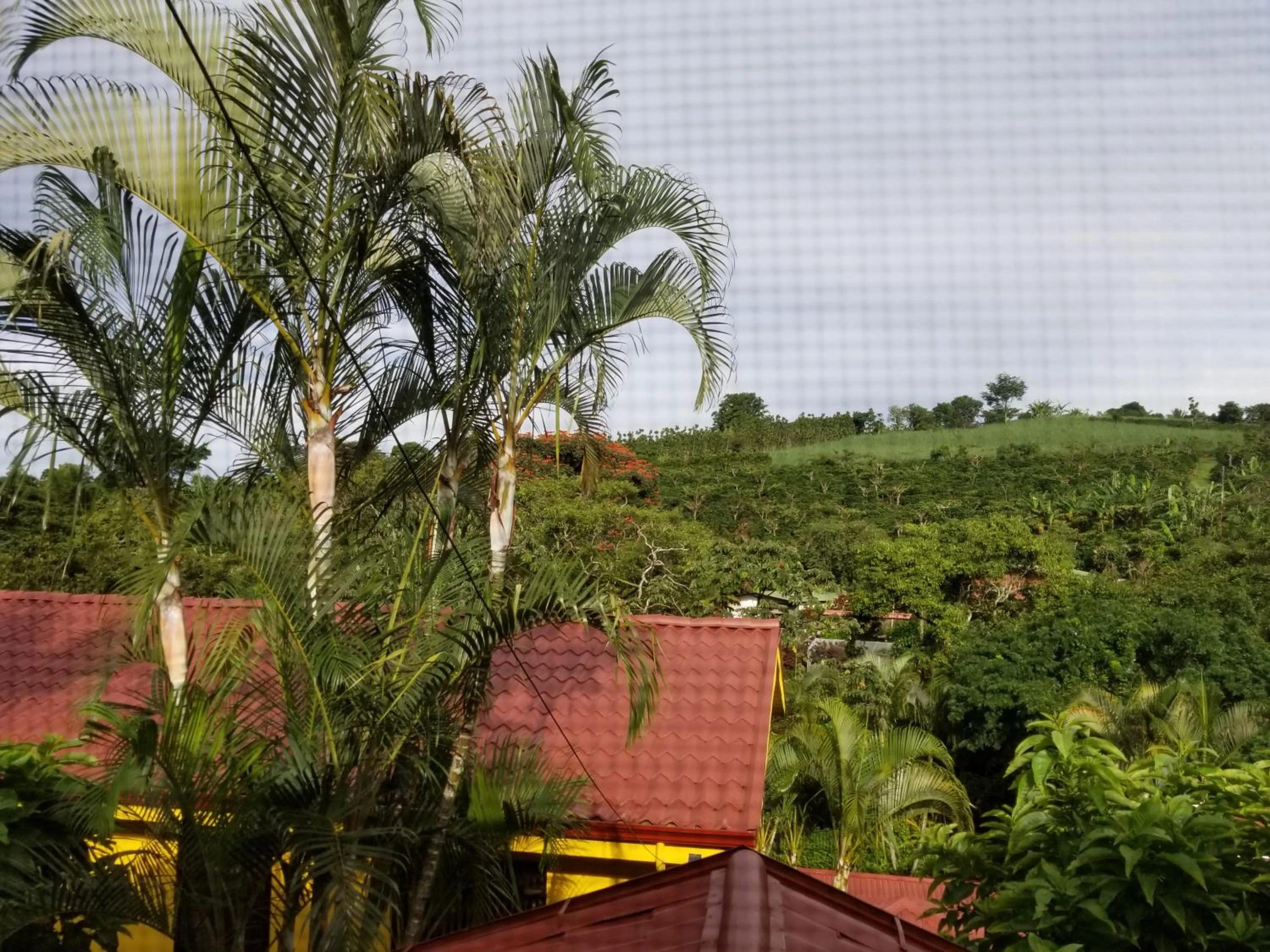 Property building in La Terraza Guest House B&B