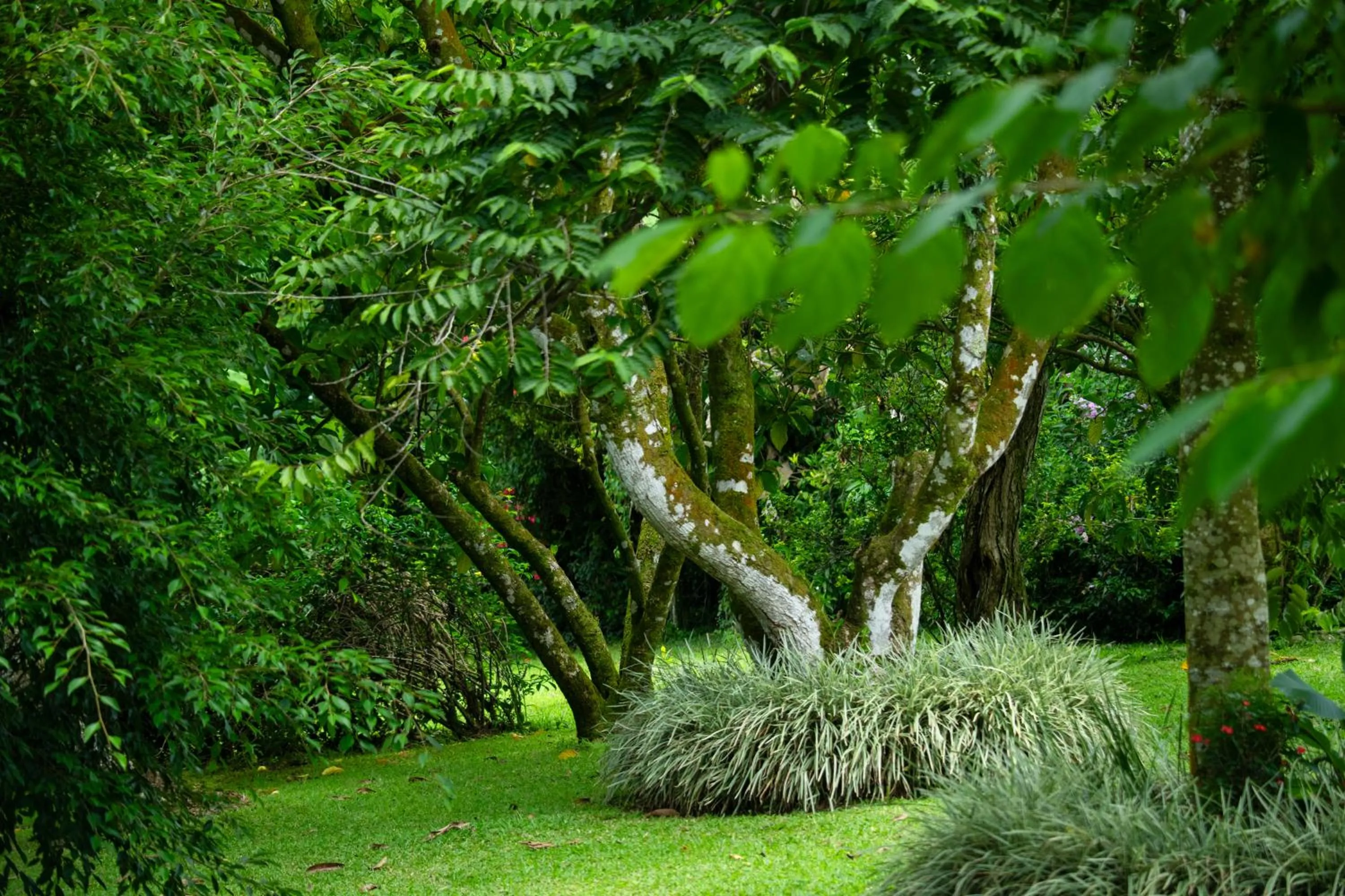 La Terraza Guest House B&B