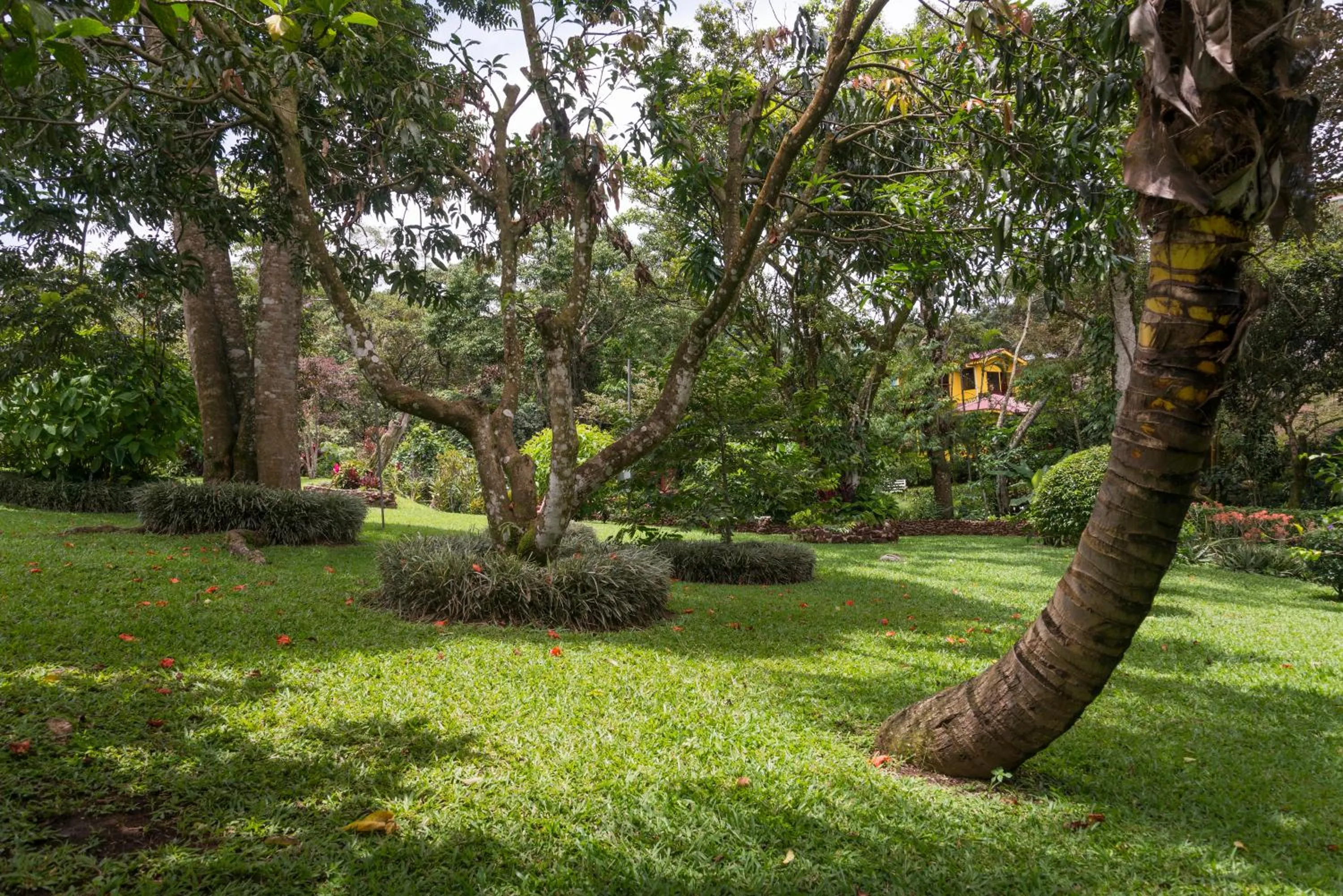 Garden in La Terraza Guest House B&B