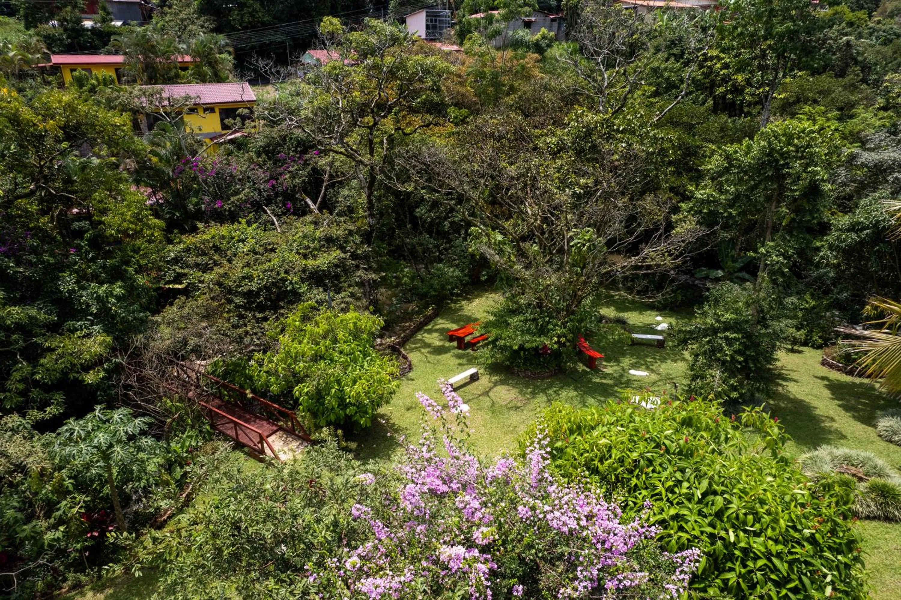 La Terraza Guest House B&B