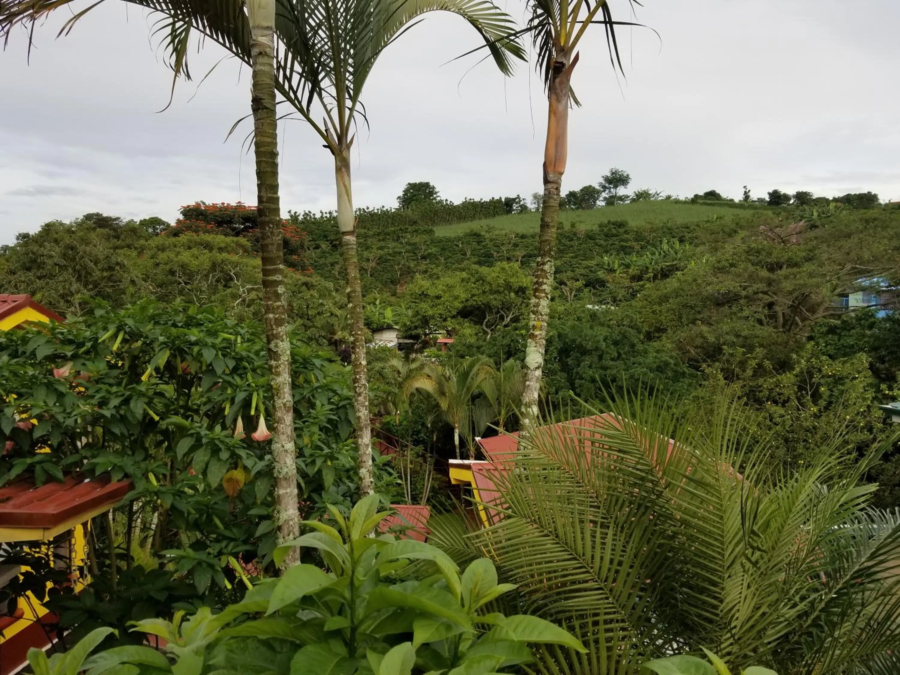 Property building in La Terraza Guest House B&B