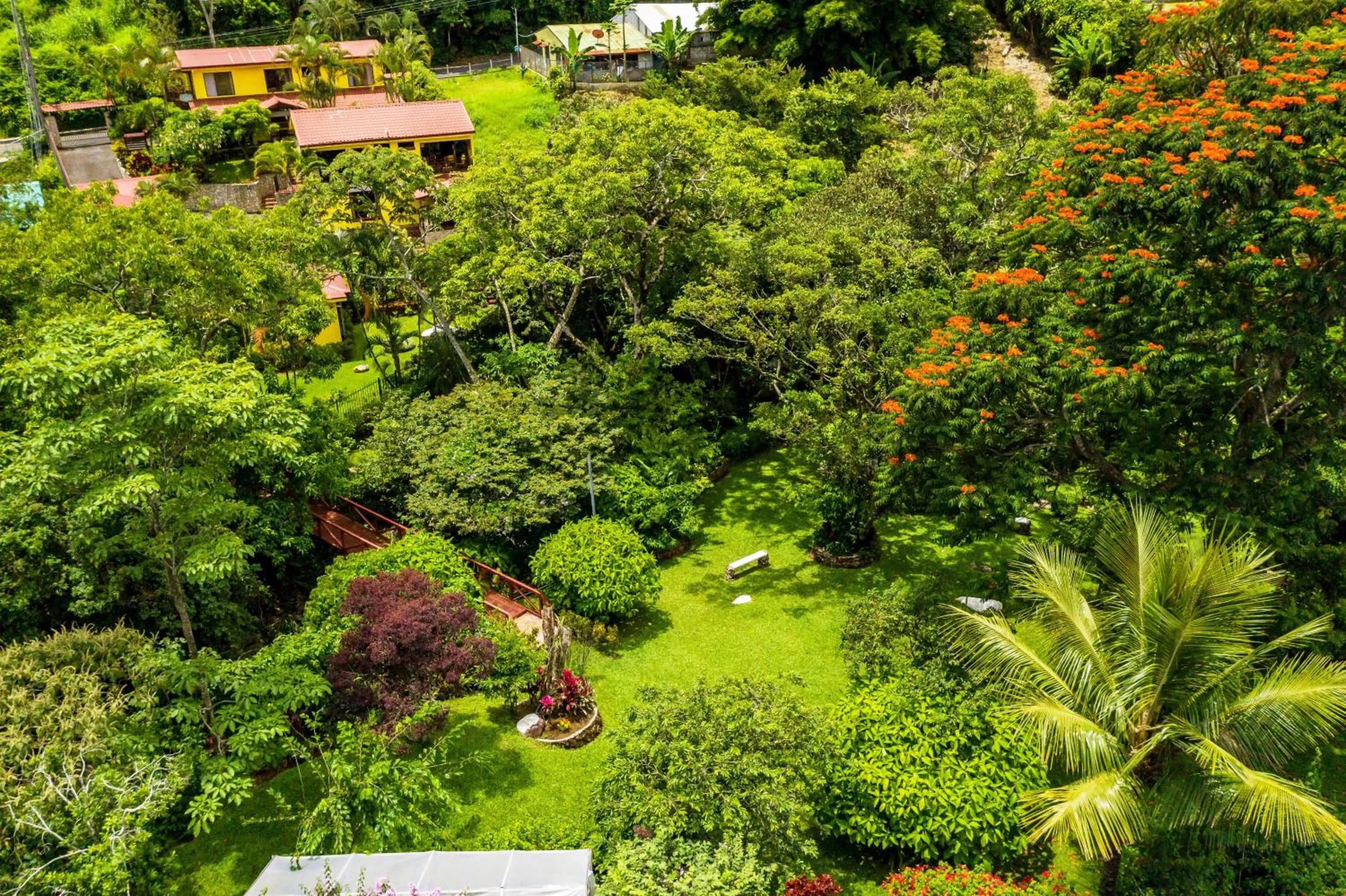 Bird's eye view in La Terraza Guest House B&B