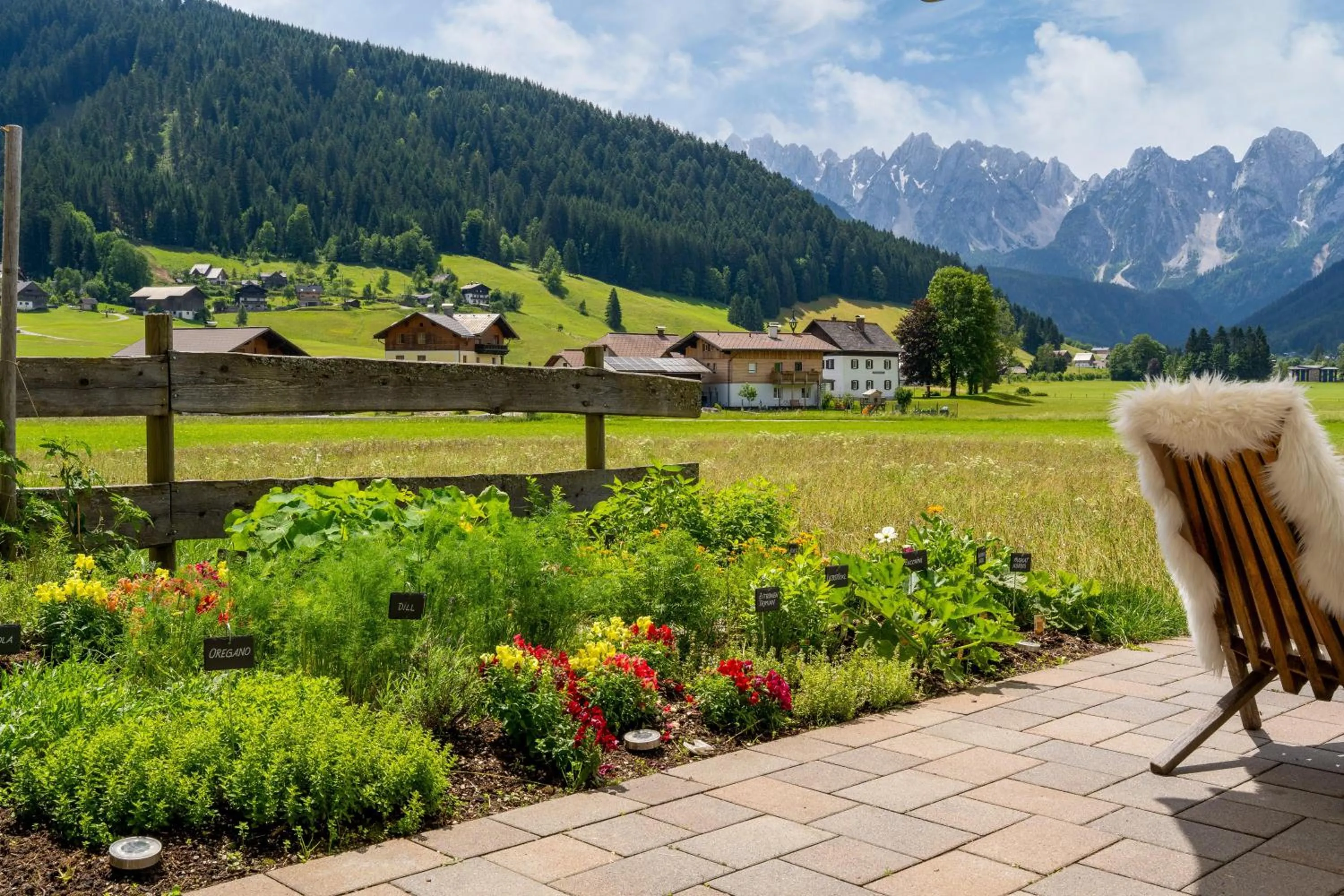 Garden in COOEE alpin Hotel Dachstein