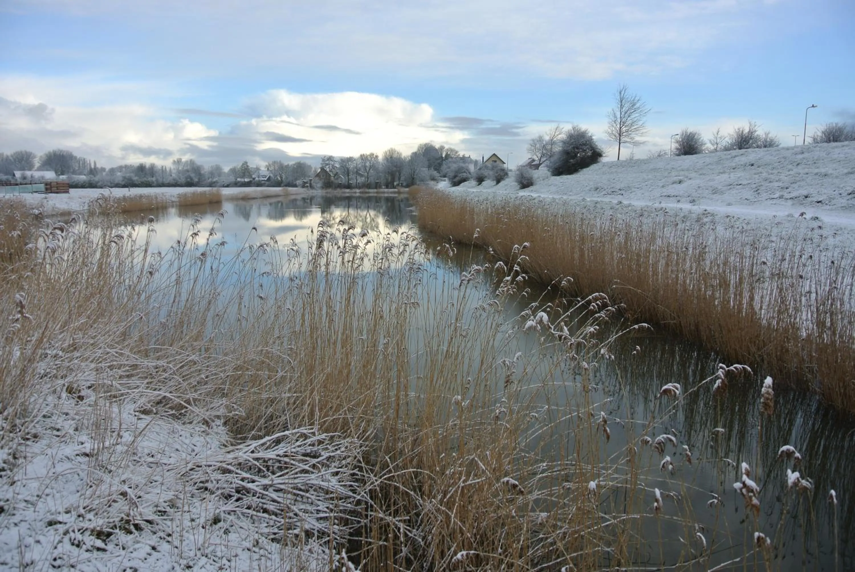 Natural landscape in B&B Veers Buuten