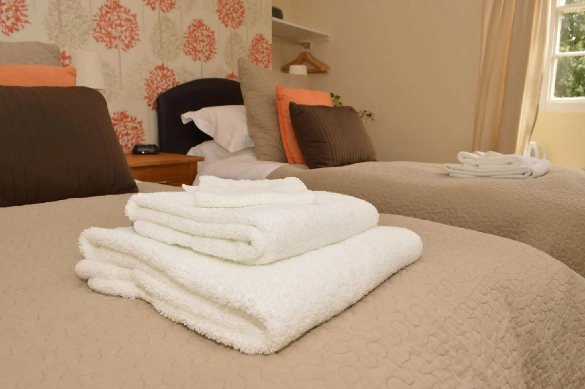 Twin or double with shower "Dog Friendly" in Red Lion Inn