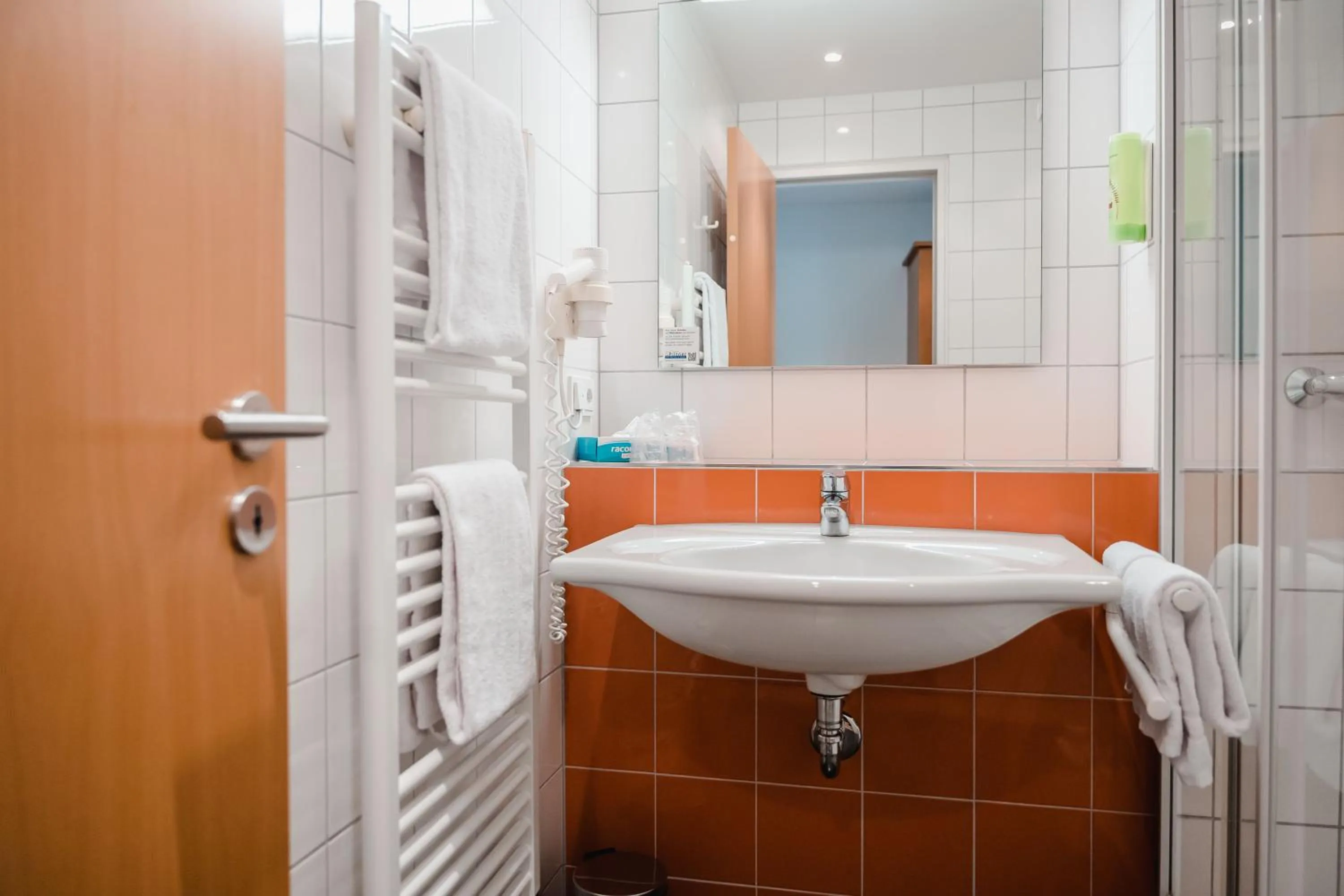 Shower in Hotel Hegau