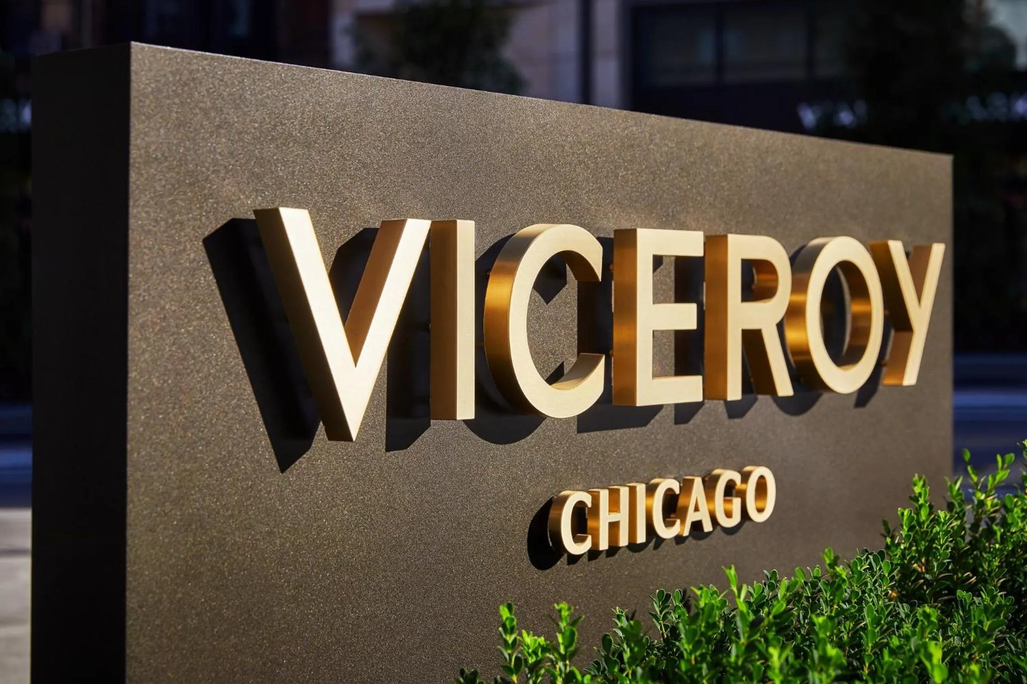 Property building in Viceroy Chicago